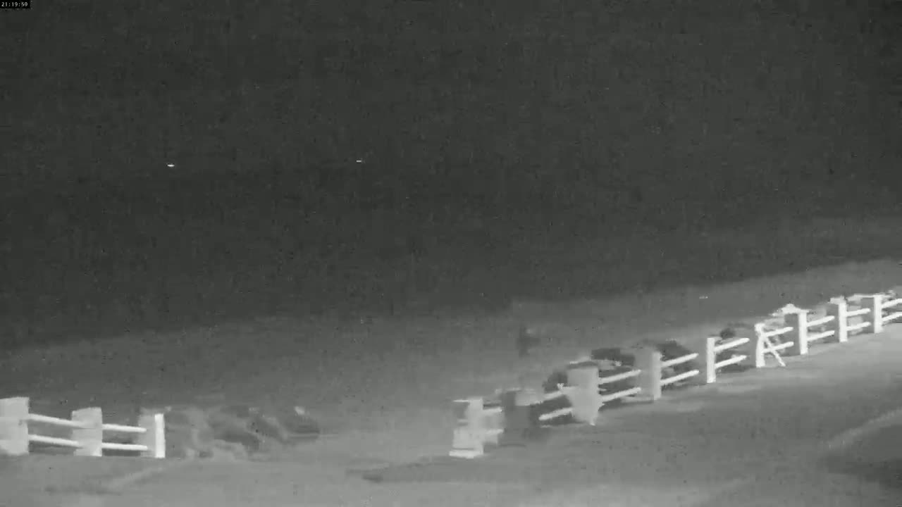 A nighttime, low-light image shows several indistinct shapes near a white fence, possibly animals or people, under a dark, clear sky.