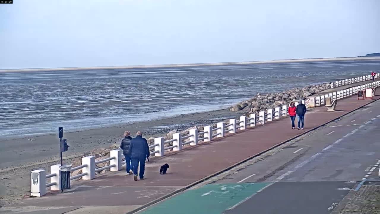 A paved walkway with a low white railing runs along a shoreline, where several people stroll with a small dog, under a clear sky.