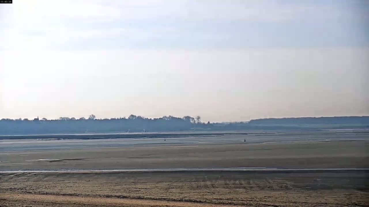 A flat, expansive airfield stretches to a distant treeline under a hazy, light sky.