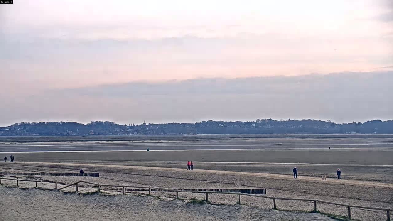 A sandy beach stretches out to a wide expanse of exposed mudflats under a pale, overcast sky, with a distant town visible on the horizon.