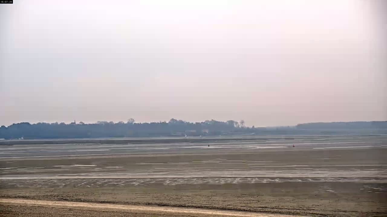 A flat, muddy expanse of land stretches to a distant line of trees under a hazy sky.