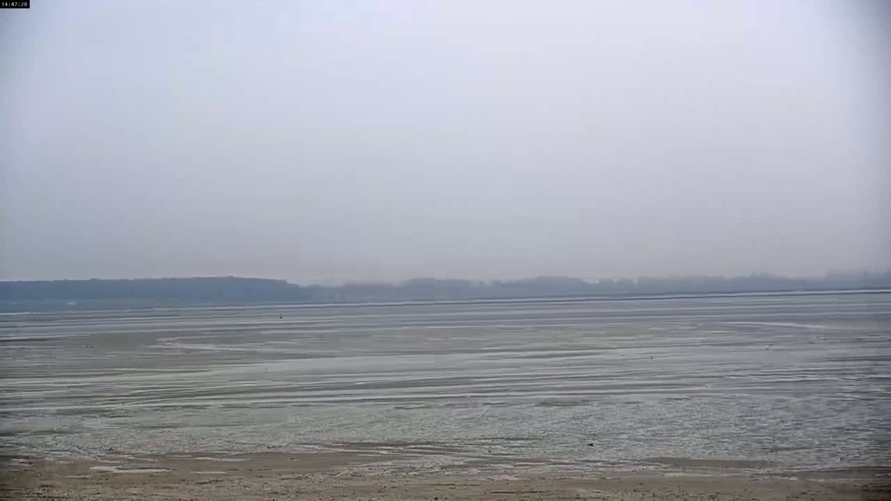 A hazy, overcast day reveals a flat expanse of shallow, rippled water extending to a distant, indistinct shoreline.