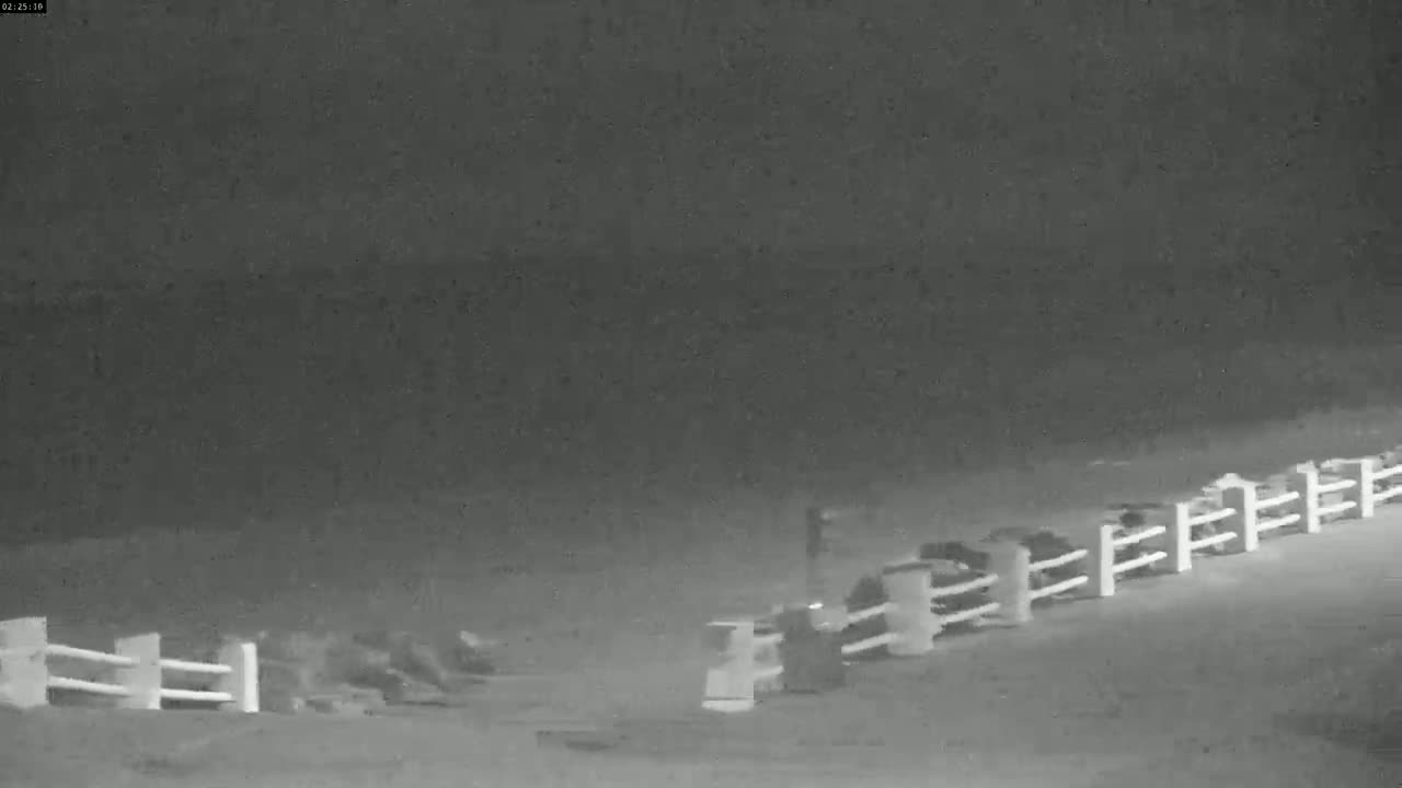 At night, several figures are near a low fence by a body of water, under an overcast sky.