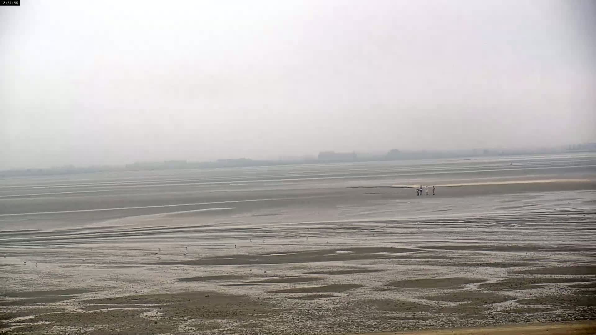 A wide, flat expanse of mudflats stretches to a hazy horizon under an overcast sky.