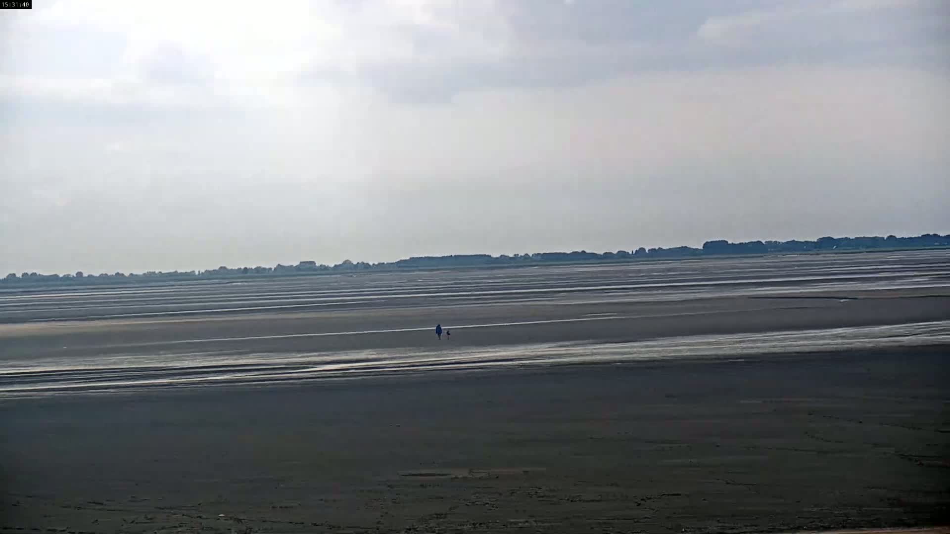 Two figures walk across a vast, dark, flat expanse of mudflats under a cloudy sky.