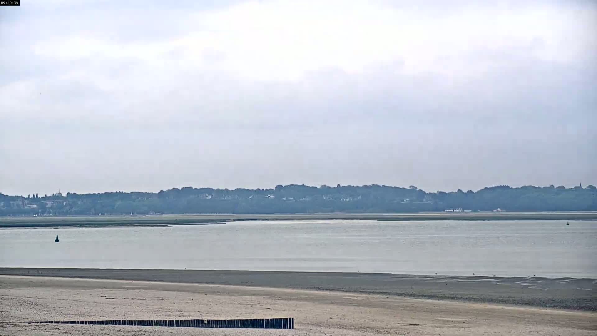 A calm, overcast day reveals a wide expanse of sandy beach bordering a tranquil body of water, with a tree-lined horizon in the distance.