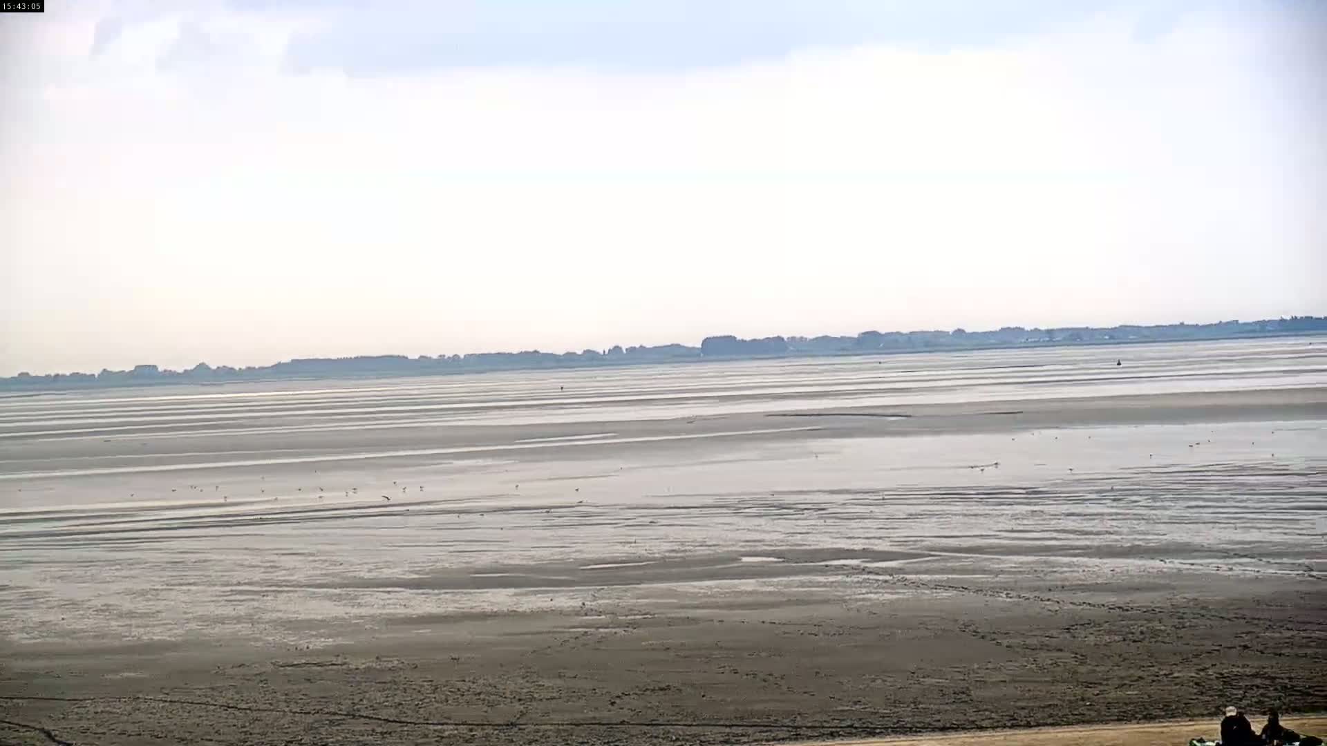 A wide expanse of mudflats stretches to a distant shoreline under a mostly cloudy sky.