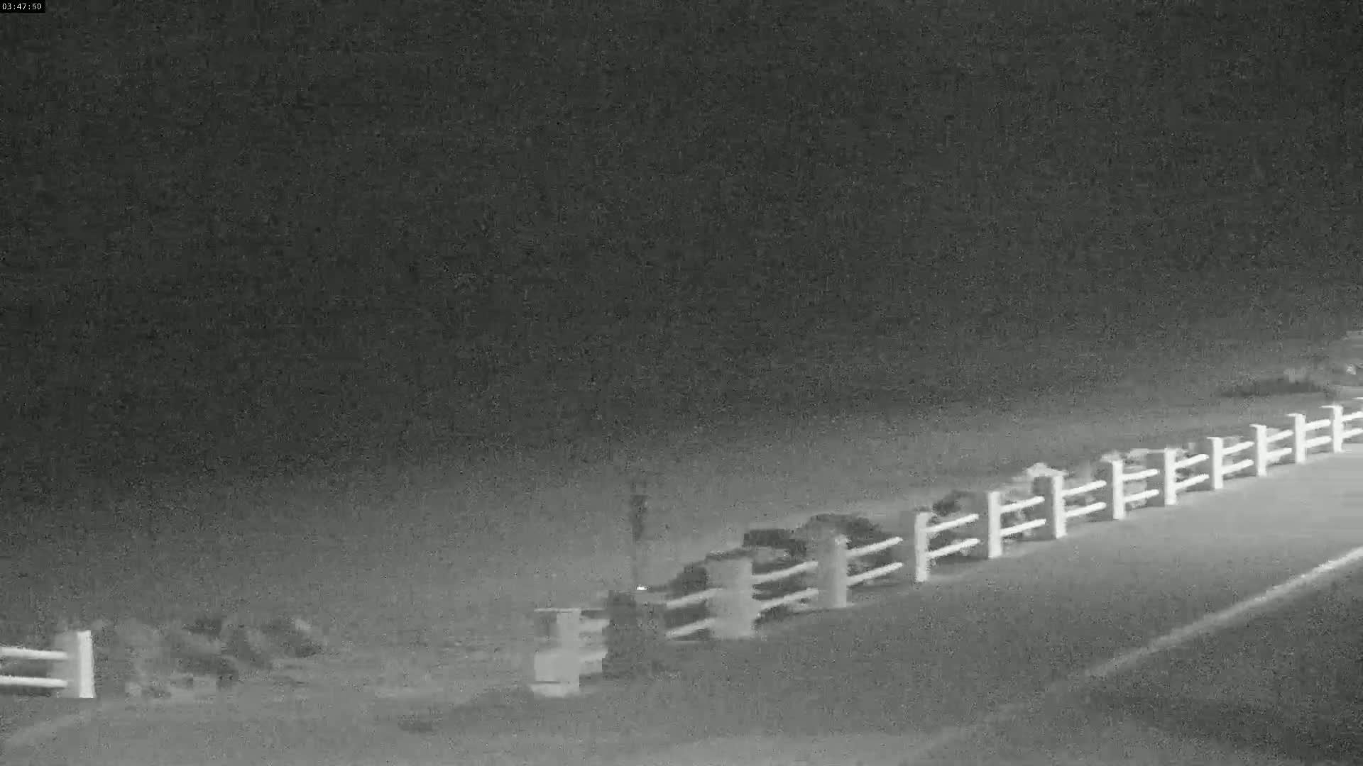 A nighttime, low-light image shows a white post and rail fence along a road, with indistinct objects behind it.
