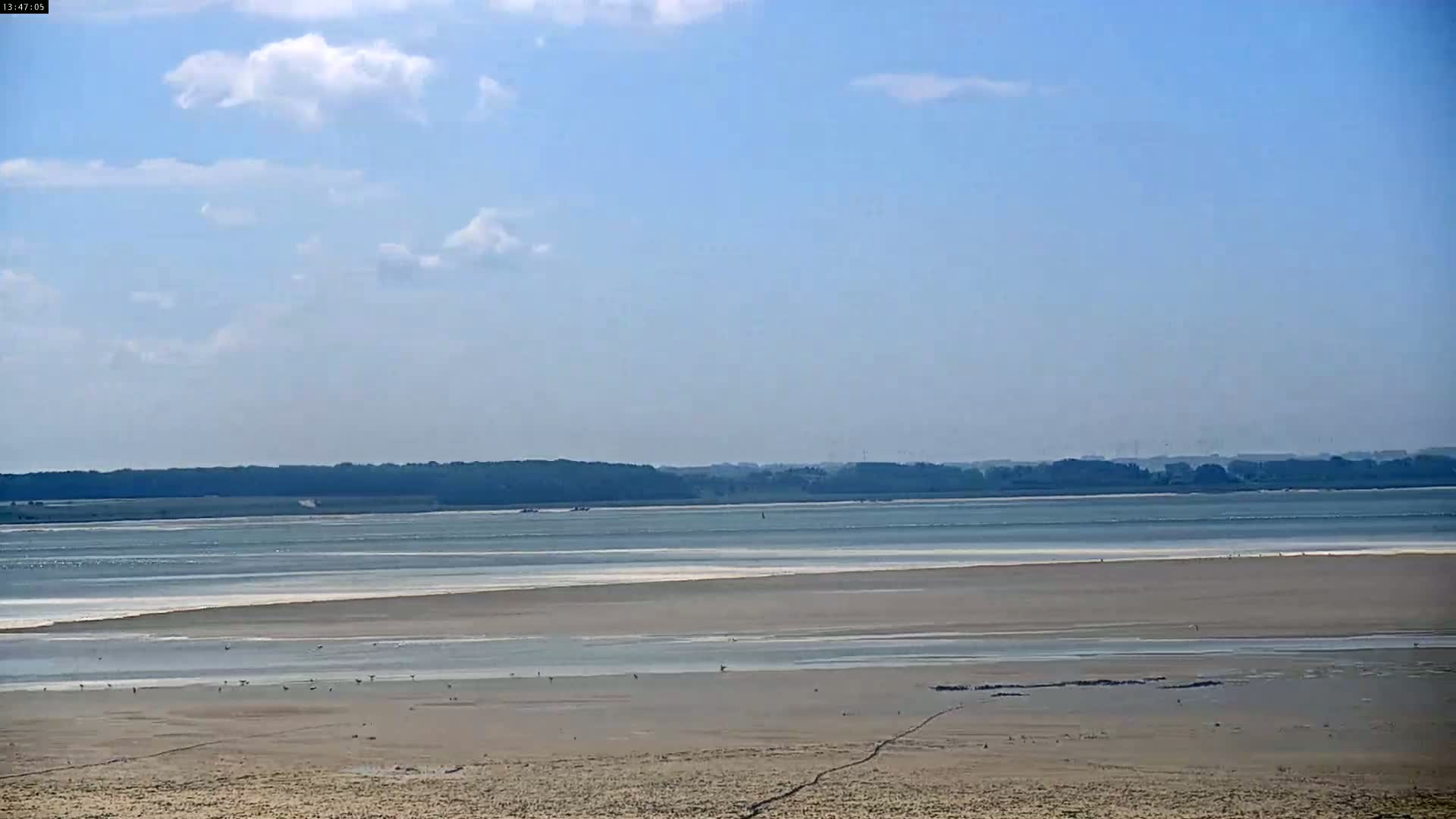 A wide expanse of mostly exposed tidal flats stretches to a calm body of water bordered by a distant tree line under a partly cloudy sky.
