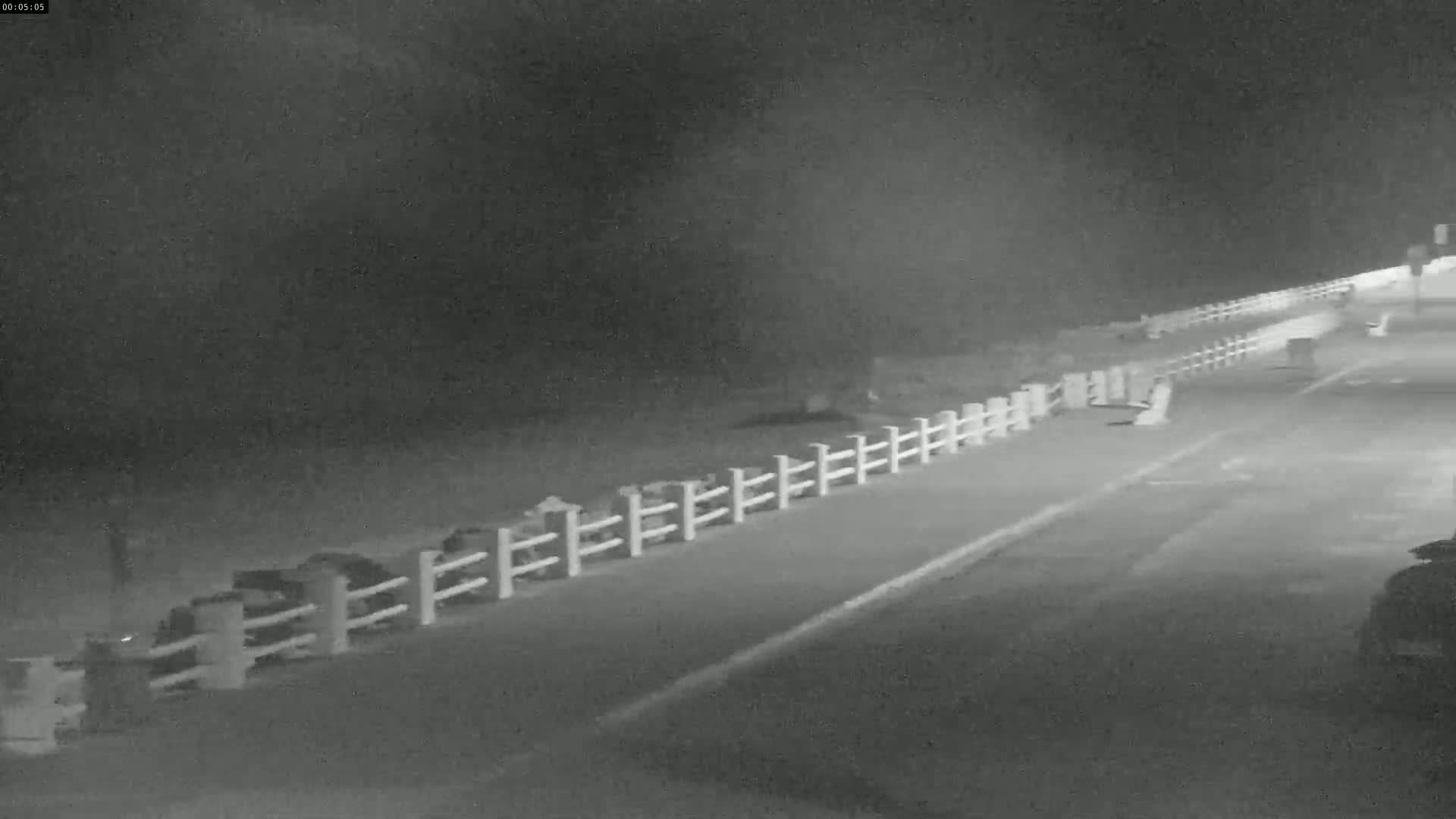 Plage Le Crotoy Beach Live Cam - Abbeville, Somme, Hauts-de-France, France