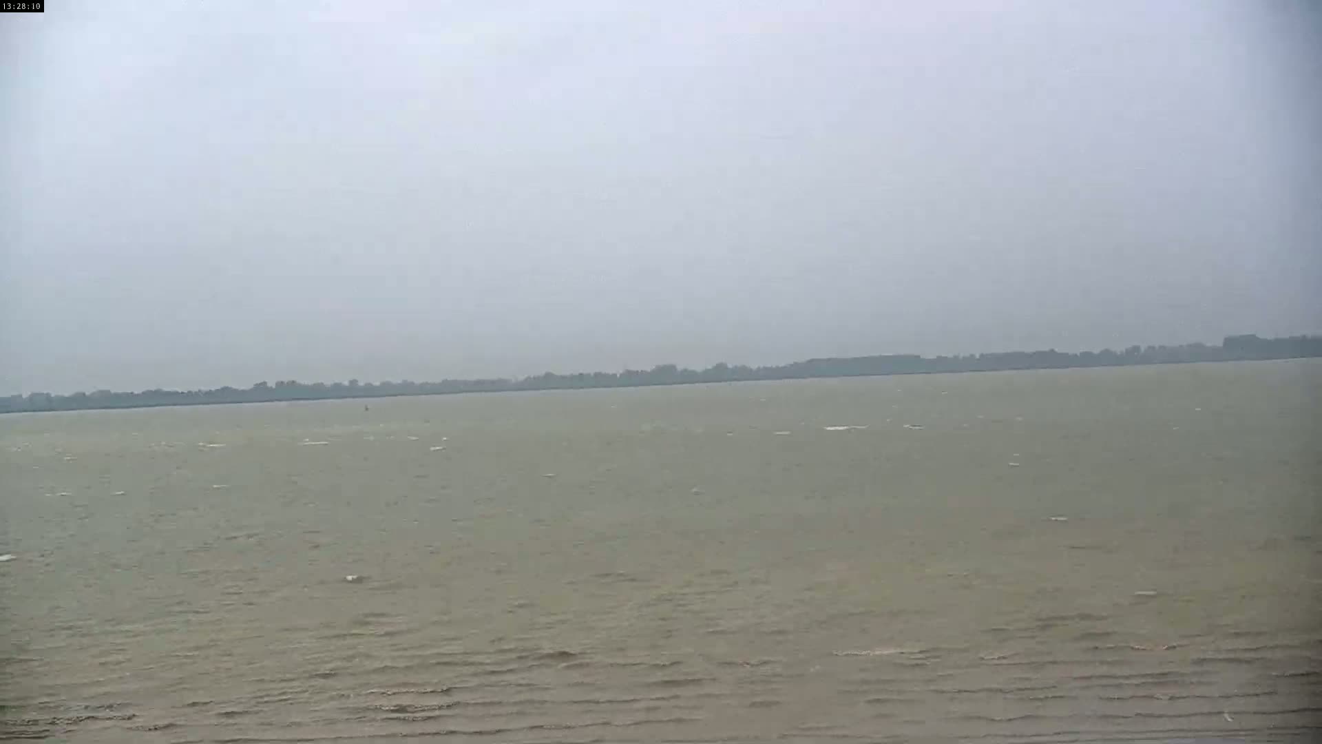 A wide shot shows a body of water with small waves under an overcast sky, a distant treeline visible on the horizon.