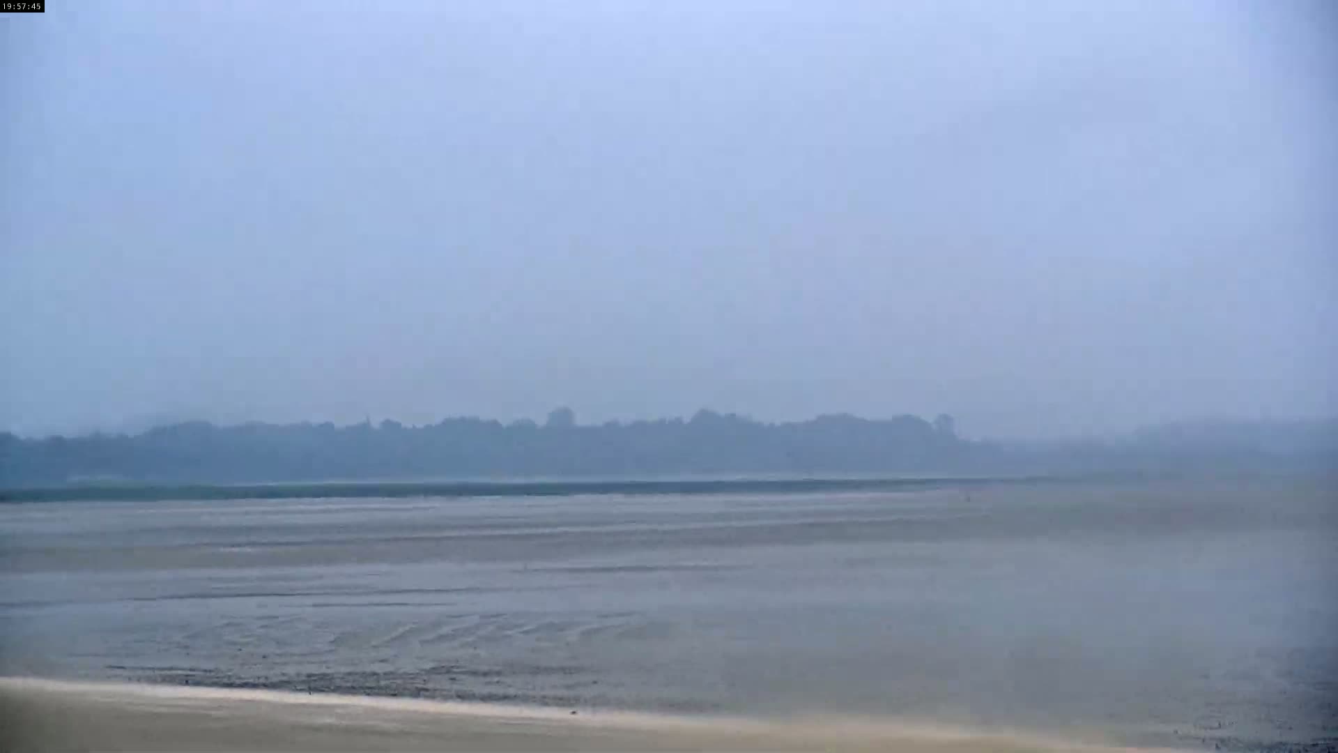 A hazy, flat expanse of land stretches to a distant line of trees under a muted sky.