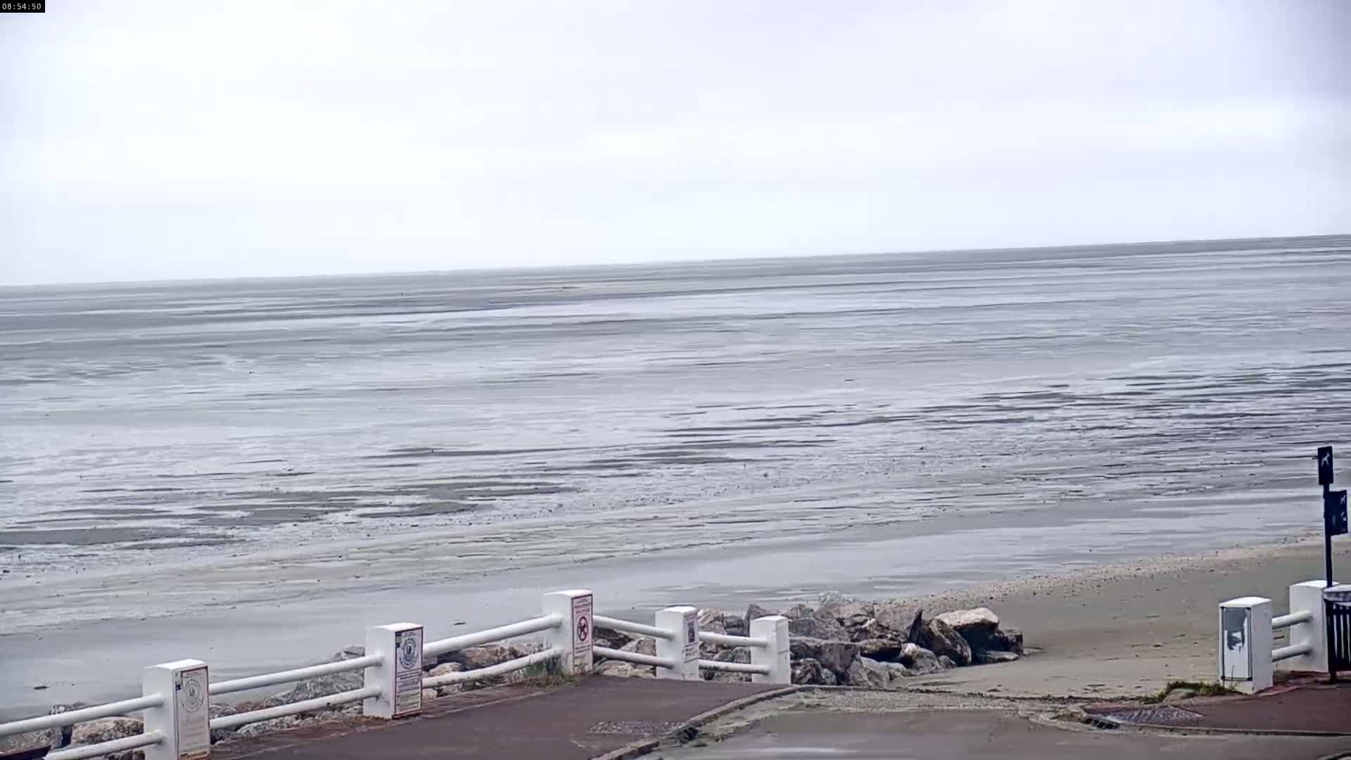 A wide, flat expanse of beach and ocean is visible under an overcast sky, with a white railing and rocks separating the beach from a paved area.