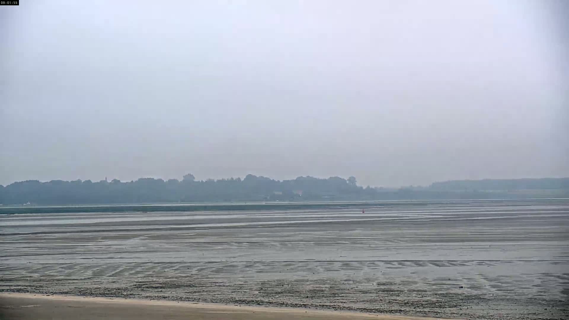 A hazy, overcast day reveals a vast expanse of mudflats stretching to a distant, indistinct line of trees.