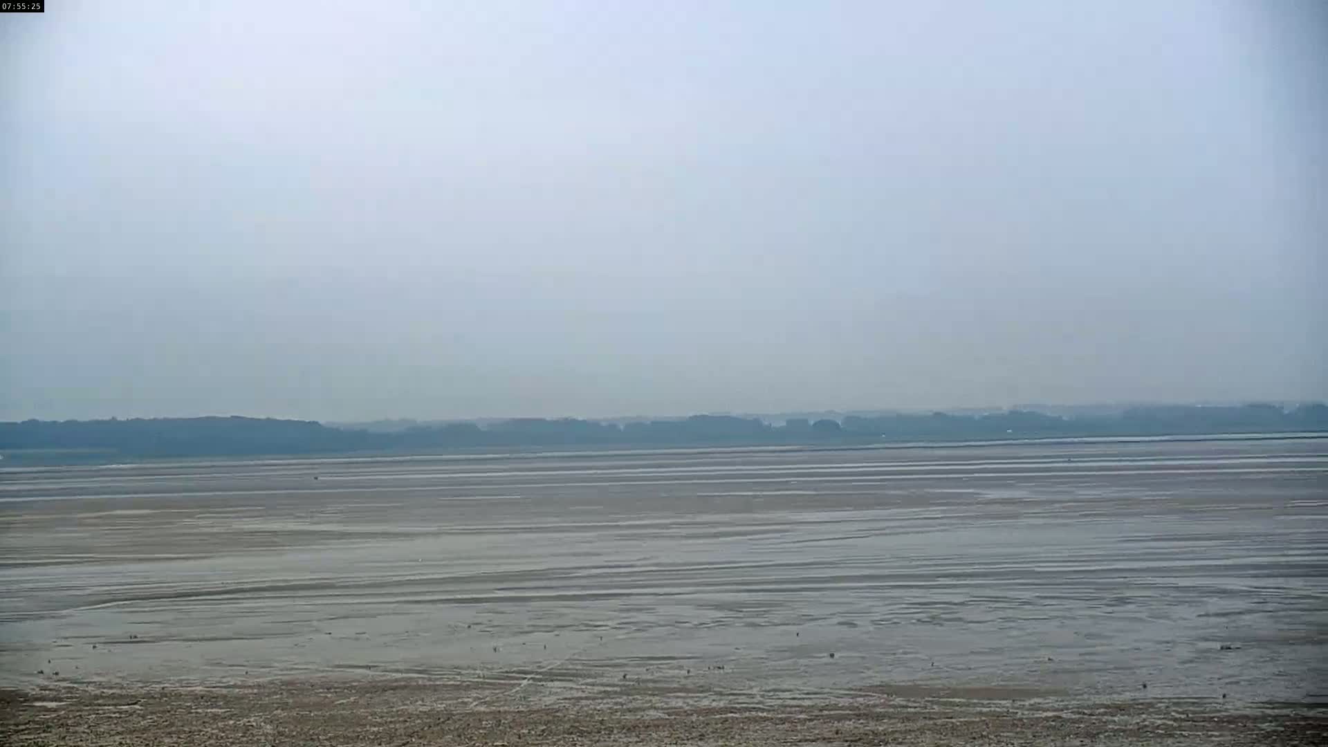 A wide expanse of exposed mudflats stretches to a hazy, tree-lined horizon under a muted, overcast sky.