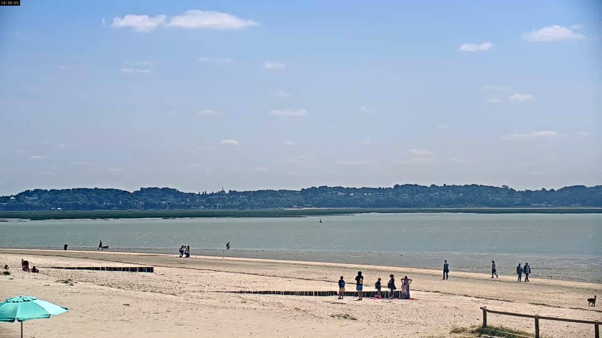 A sandy beach with a few people and dogs, a calm body of water, and a distant tree-lined shore under a mostly sunny sky.