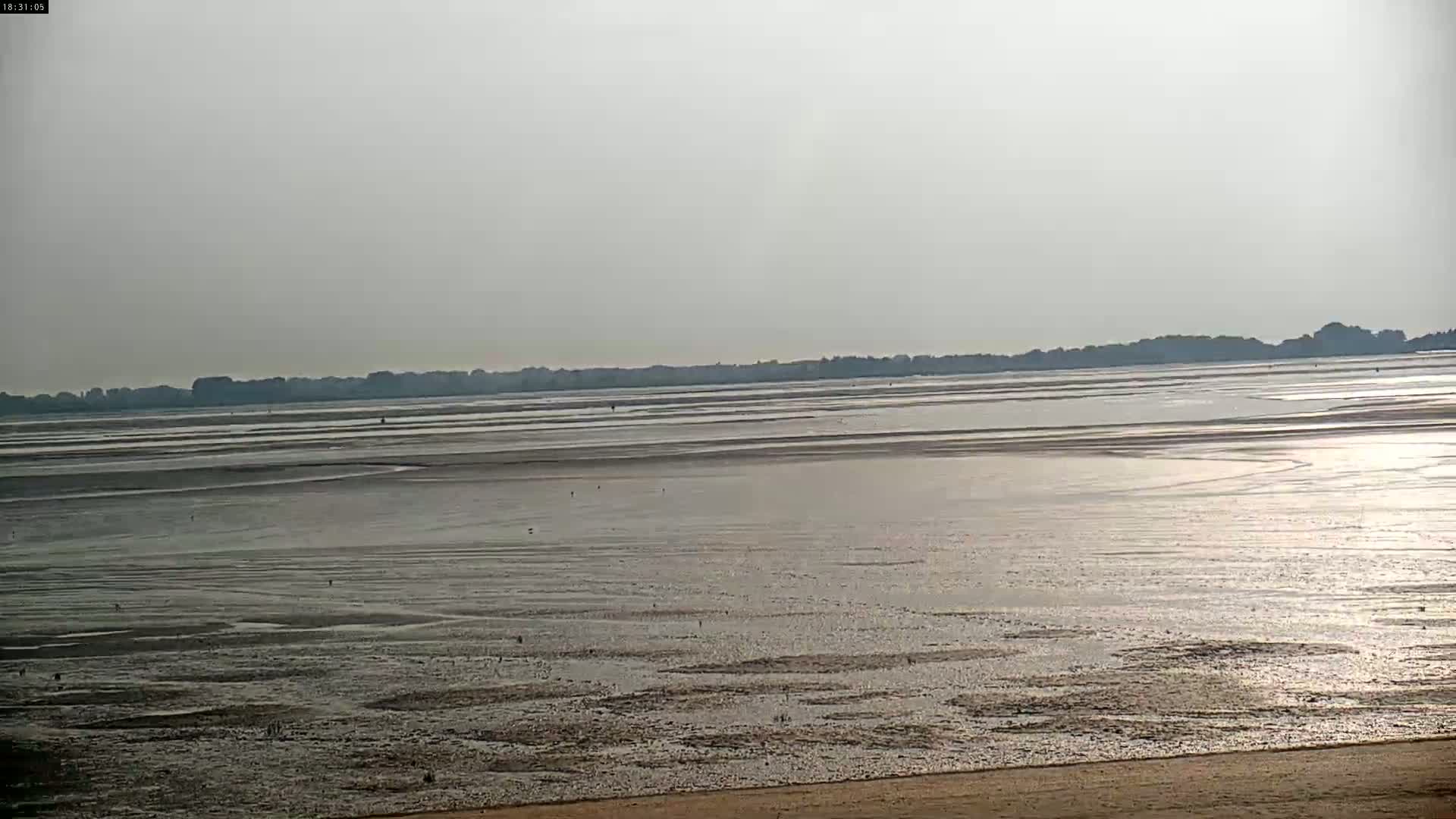 A wide expanse of mudflats stretches to a distant tree line under a hazy sky.