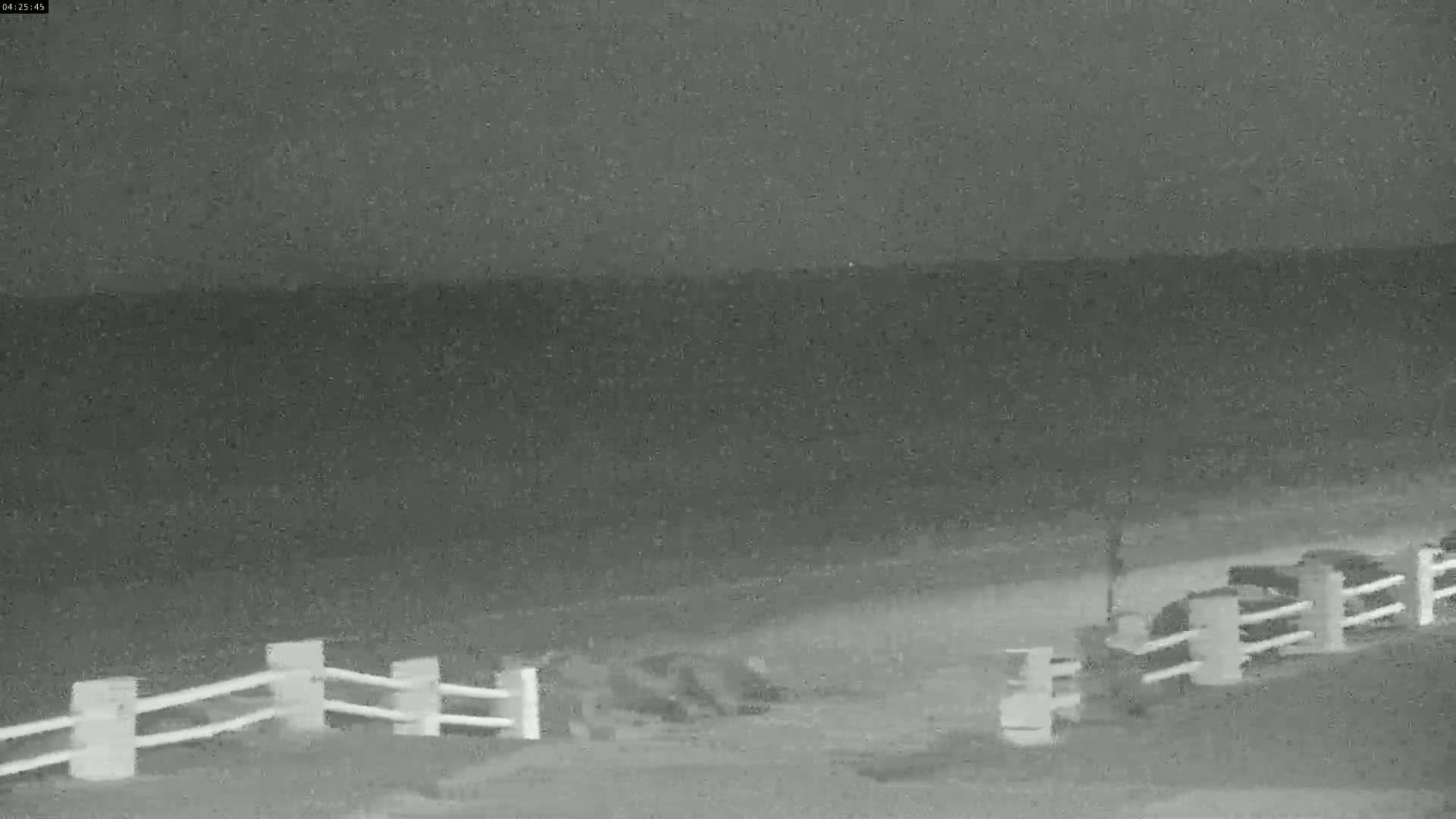 Plage Le Crotoy Beach Live Cam - Abbeville, Somme, Hauts-de-France, France