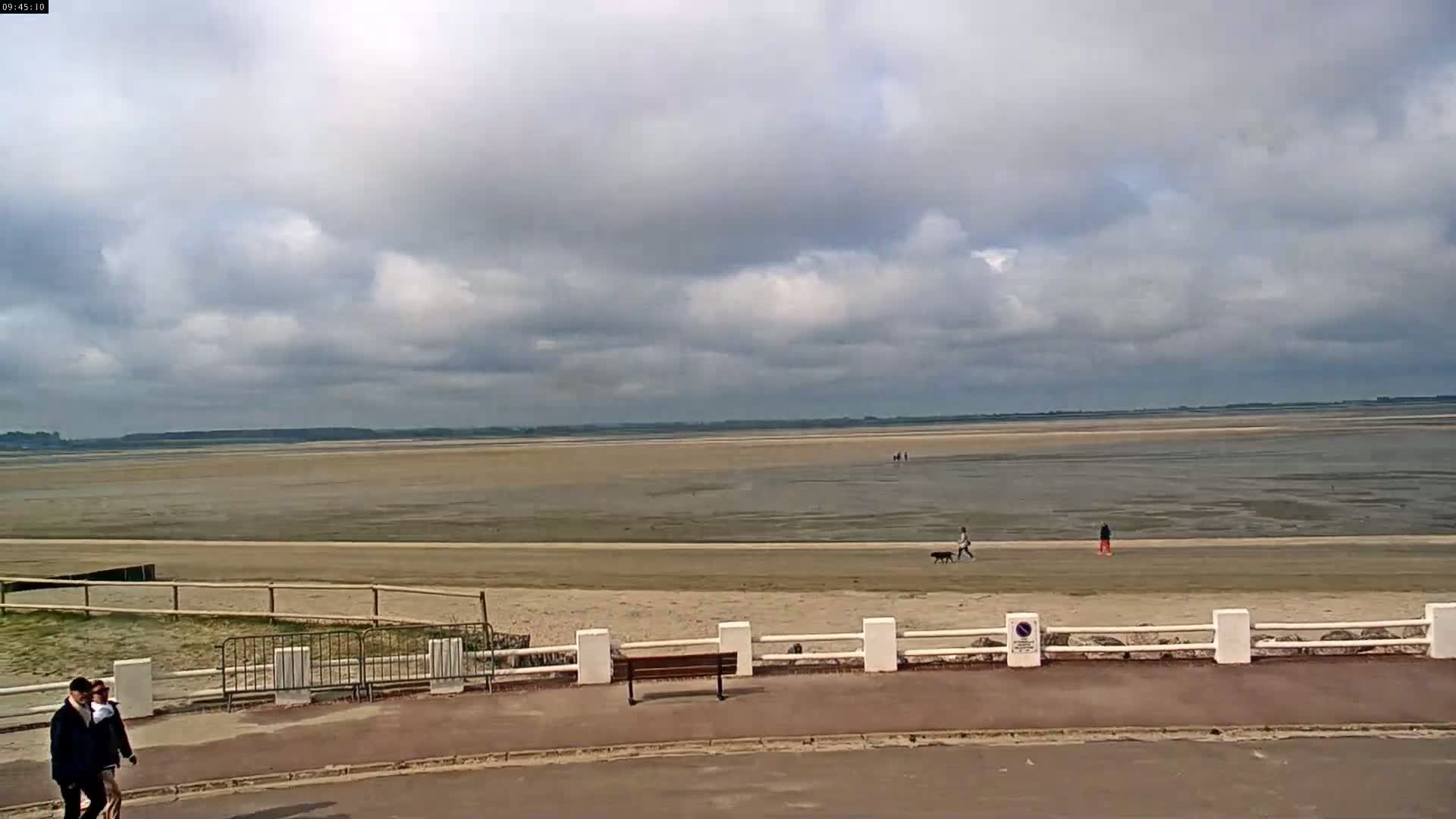 A wide expanse of flat, sandy beach stretches to a calm, cloudy sky, with a few people walking and a dog on the beach.