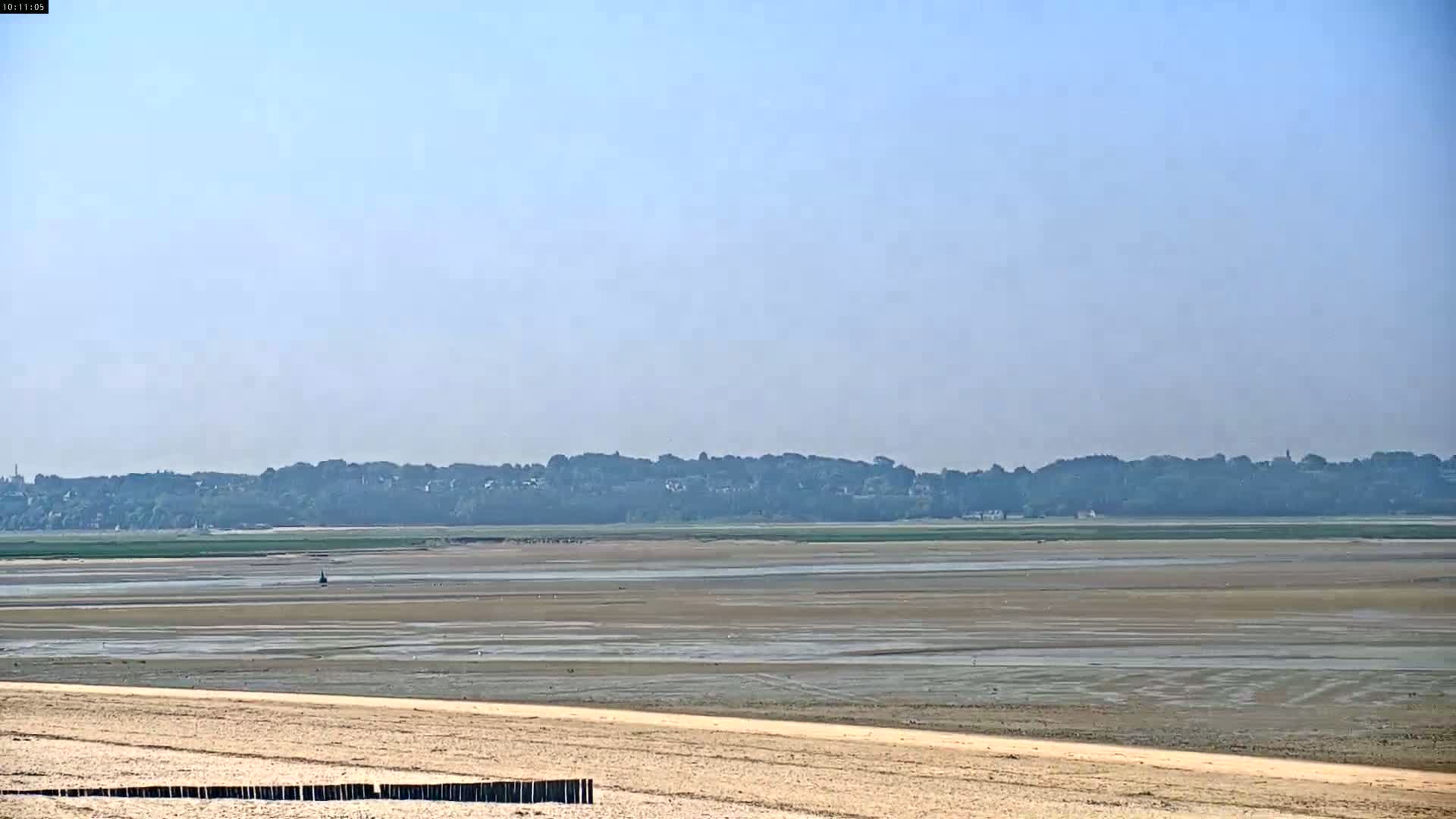A sandy beach stretches toward a vast, exposed mudflat, beyond which a line of trees and buildings sits under a clear, light-blue sky.