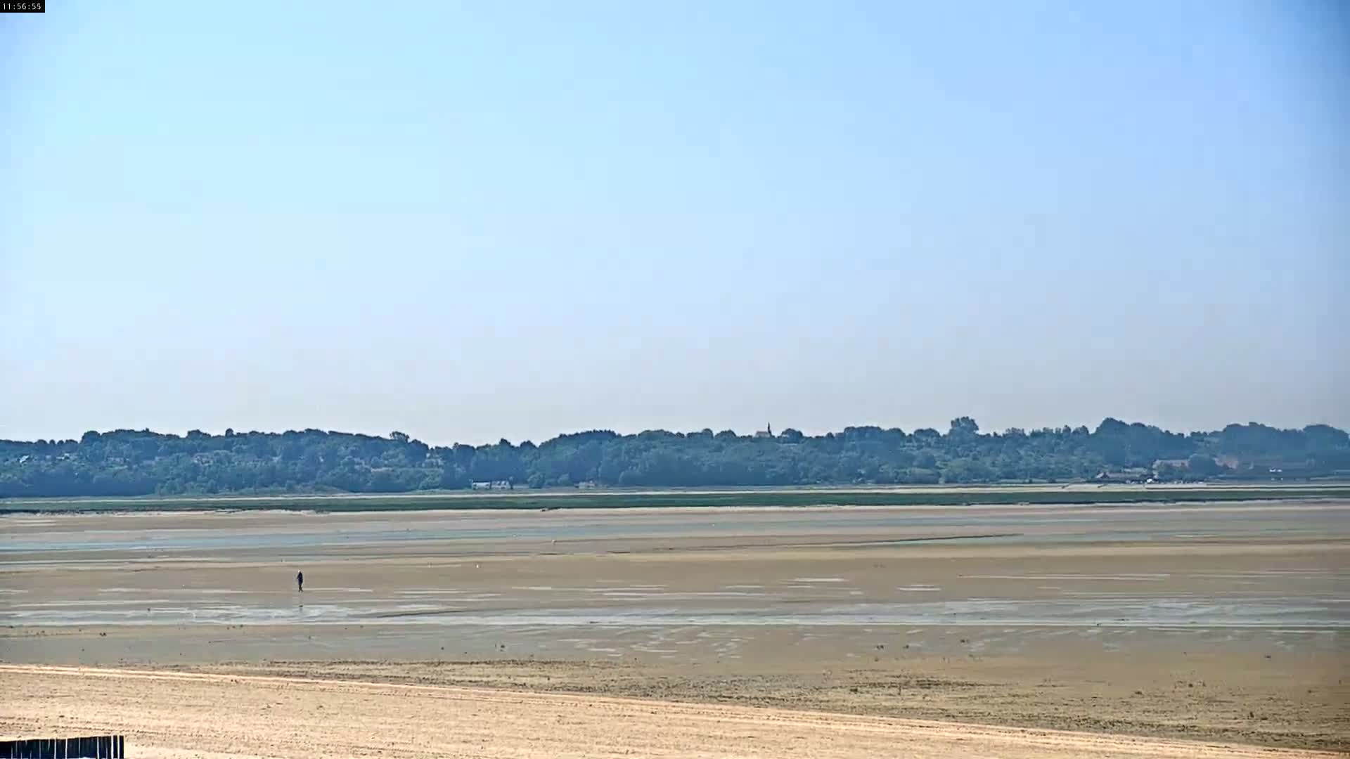 A person walks across a wide expanse of exposed, light-brown mudflats under a clear, light-blue sky, with a distant line of green trees and buildings visible on the horizon.