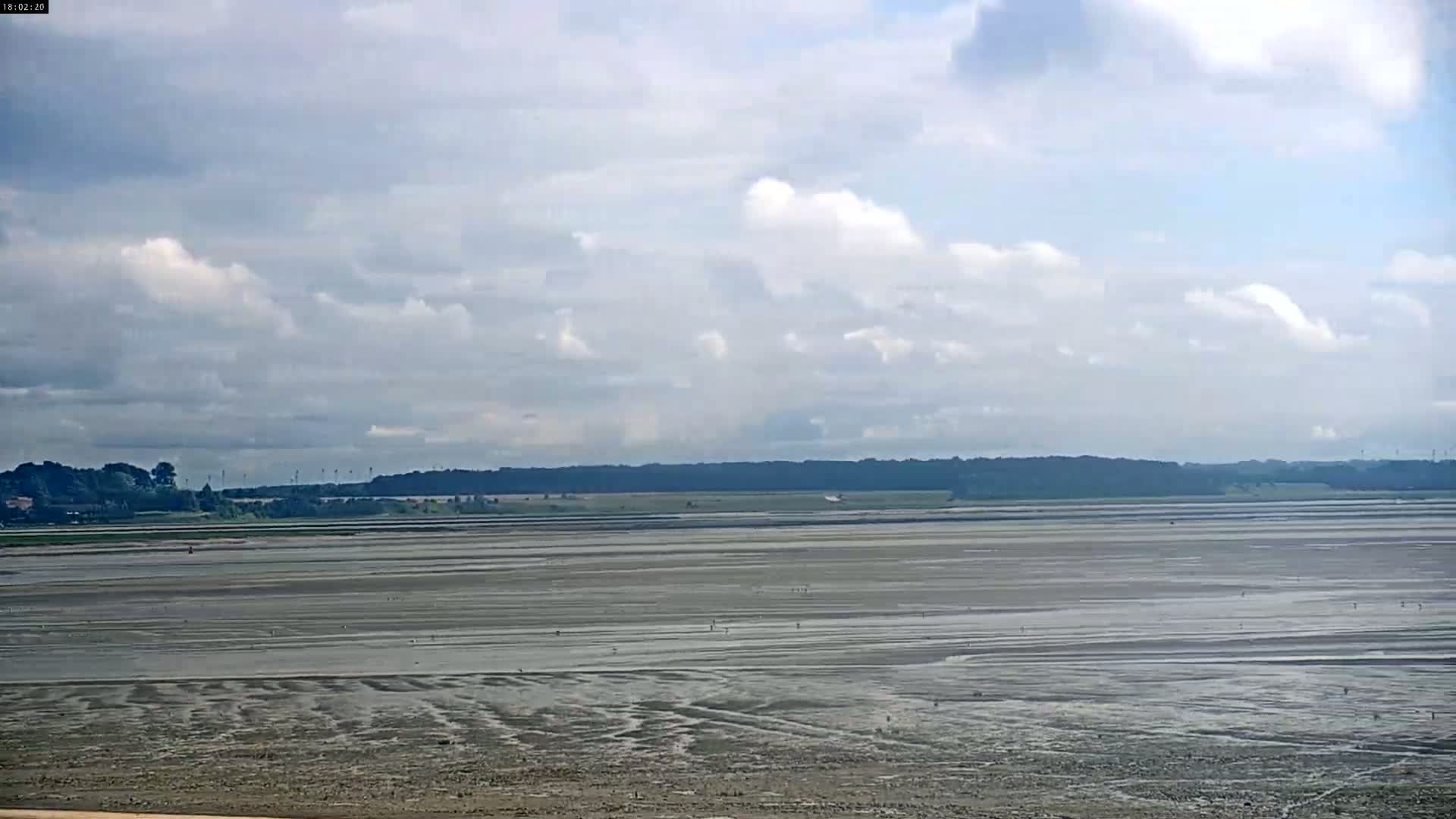 Plage Le Crotoy Beach Live Cam - Abbeville, Somme, Hauts-de-France, France