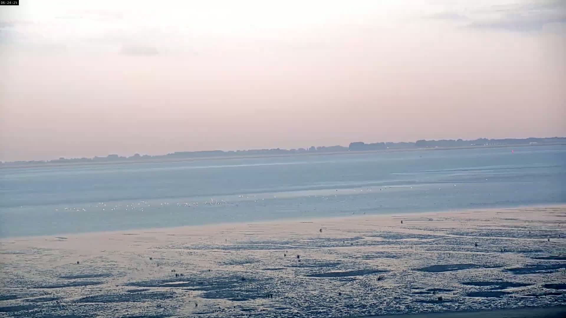 Plage Le Crotoy Beach Live Cam - Abbeville, Somme, Hauts-de-France, France