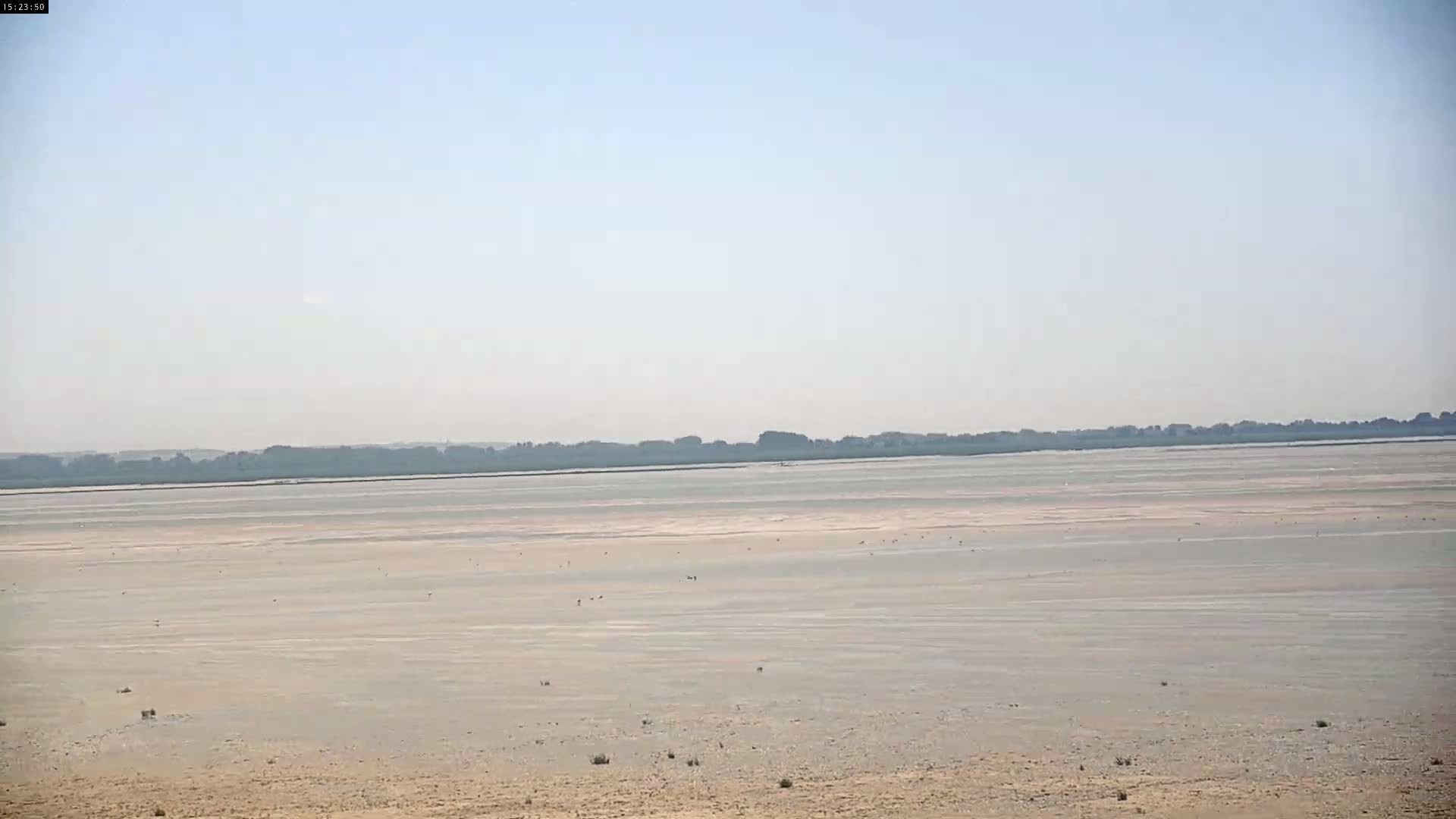 Plage Le Crotoy Beach Live Cam - Abbeville, Somme, Hauts-de-France, France