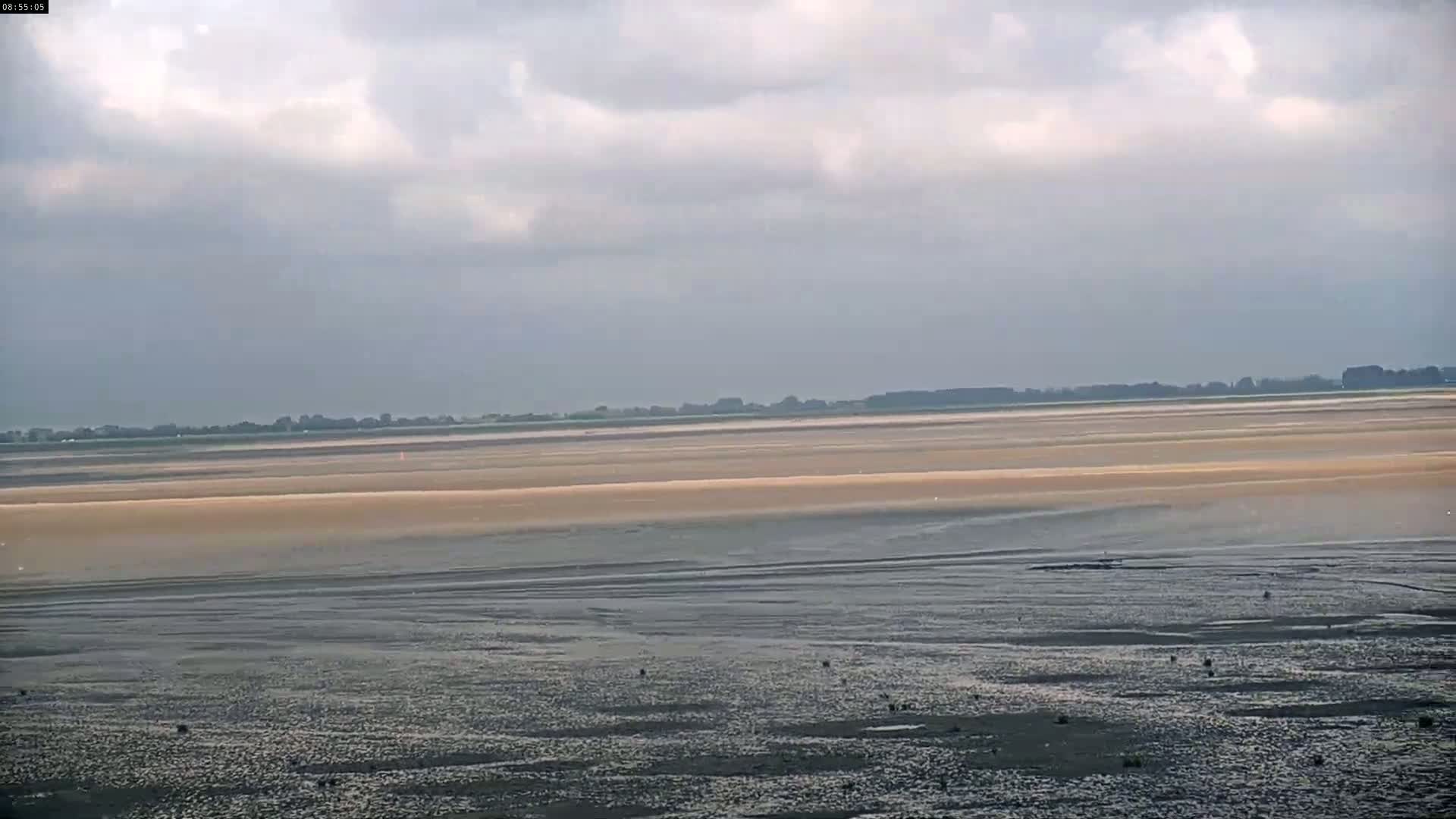 Plage Le Crotoy Beach Live Cam - Abbeville, Somme, Hauts-de-France, France