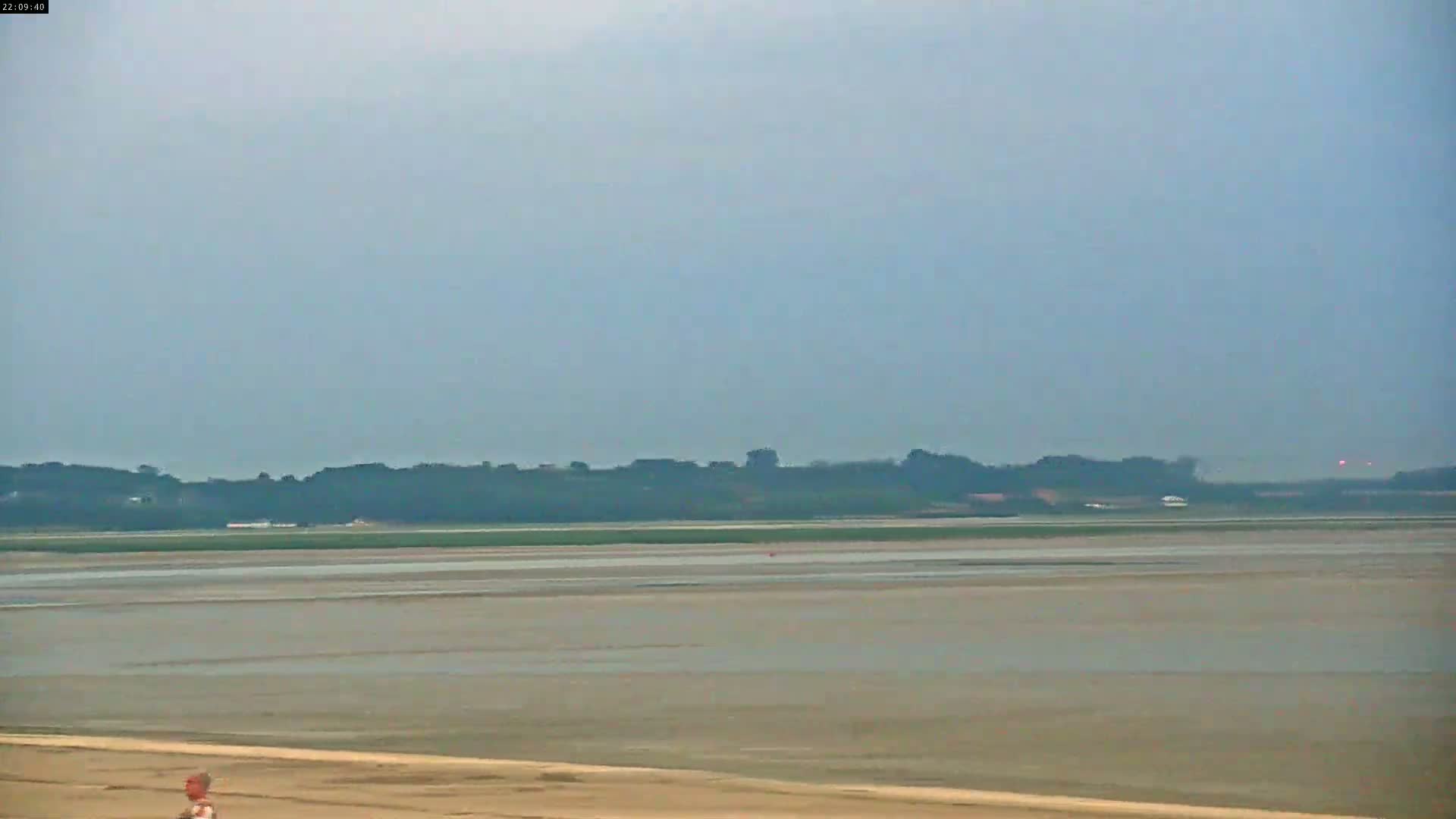 A wide, flat expanse of light brown mudflats stretches to a distant line of dark green trees under a hazy, overcast sky.