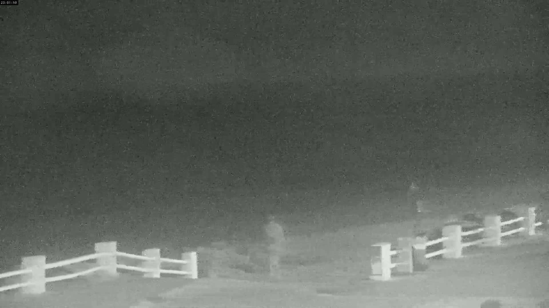 Plage Le Crotoy Beach Live Cam - Abbeville, Somme, Hauts-de-France, France
