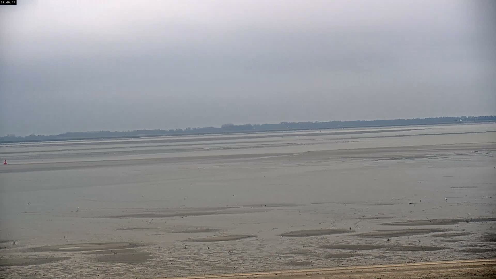 Plage Le Crotoy Beach Live Cam - Abbeville, Somme, Hauts-de-France, France