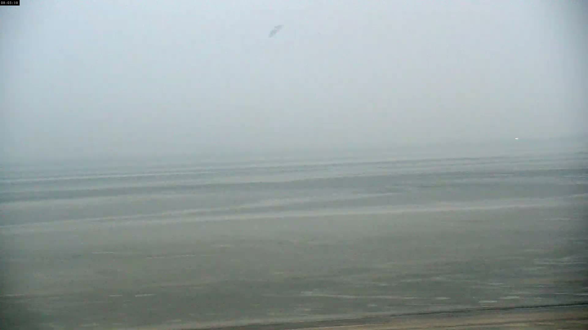 Plage Le Crotoy Beach Live Cam - Abbeville, Somme, Hauts-de-France, France
