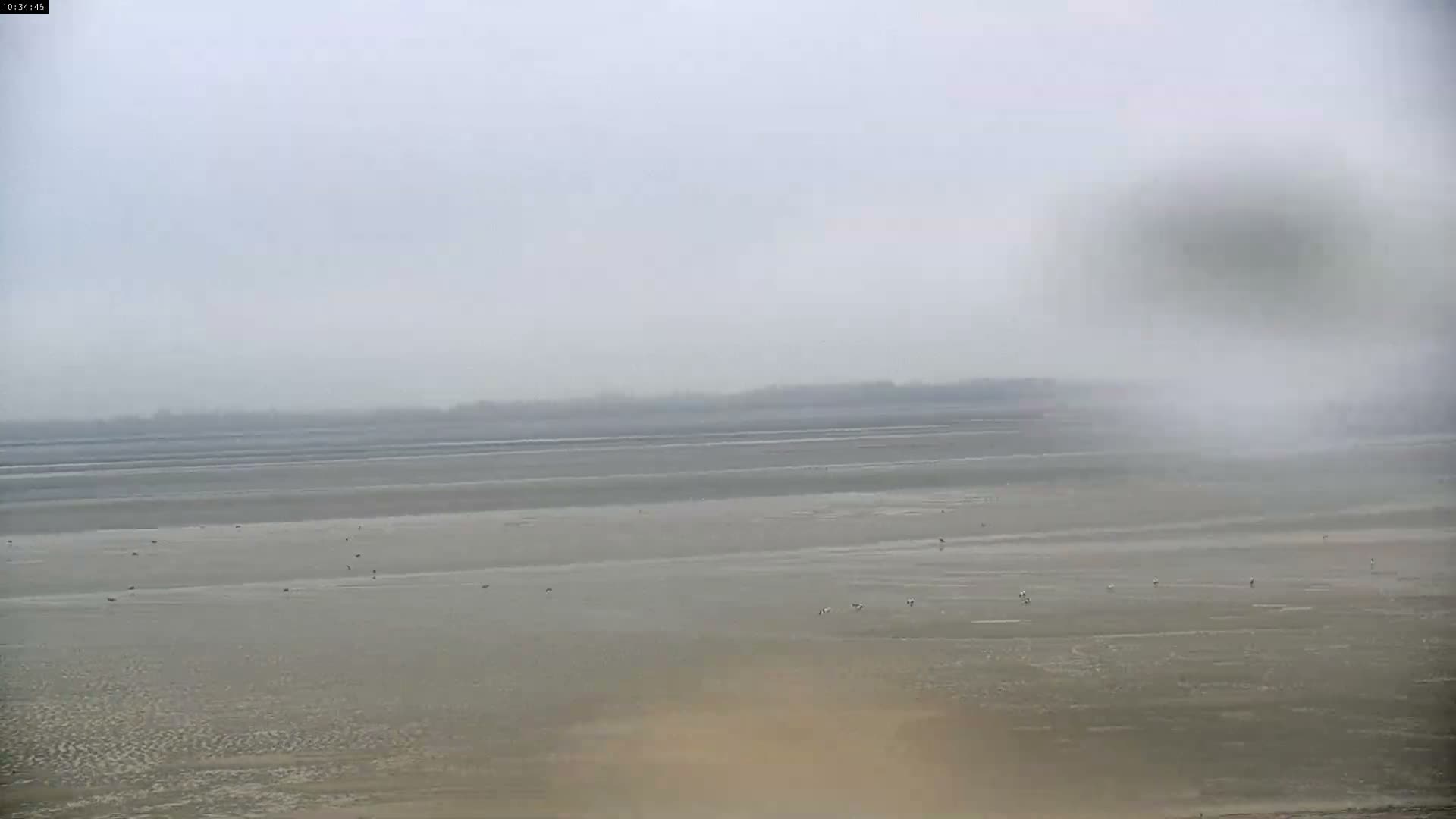 Plage Le Crotoy Beach Live Cam - Abbeville, Somme, Hauts-de-France, France