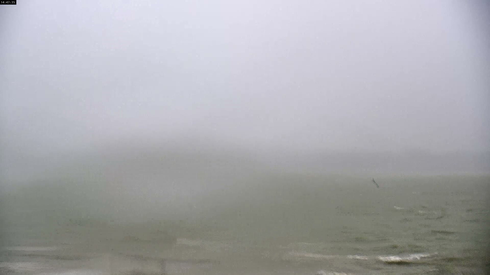 Plage Le Crotoy Beach Live Cam - Abbeville, Somme, Hauts-de-France, France