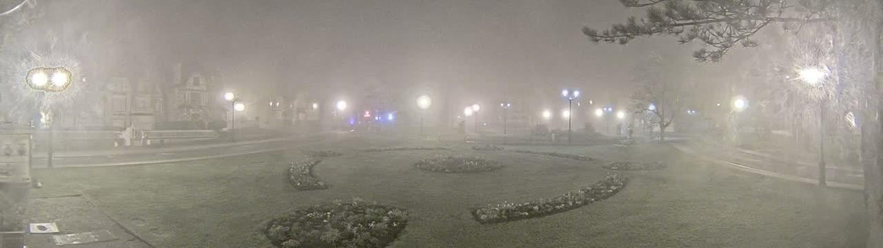 A foggy night scene shows a grassy park with flowerbeds, illuminated by streetlights, and buildings in the background.