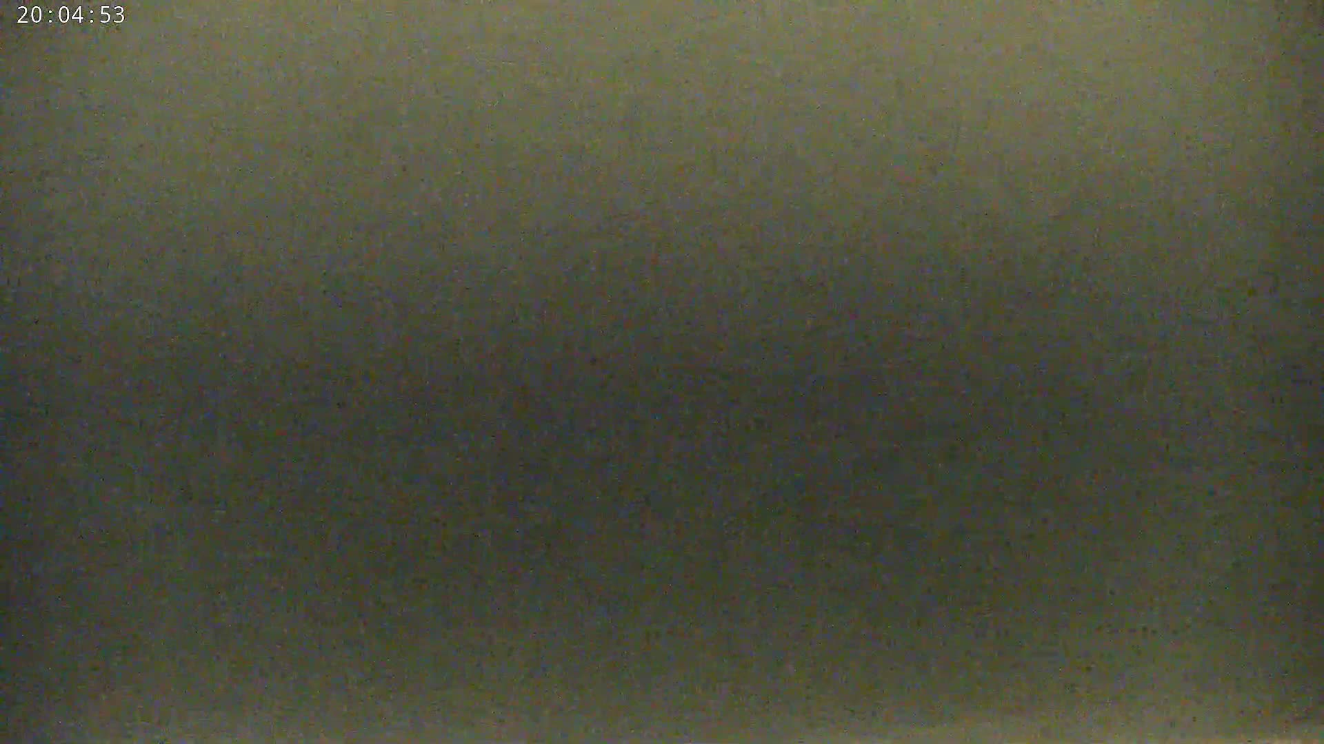 A dark, uniformly colored, possibly grainy image fills the frame.