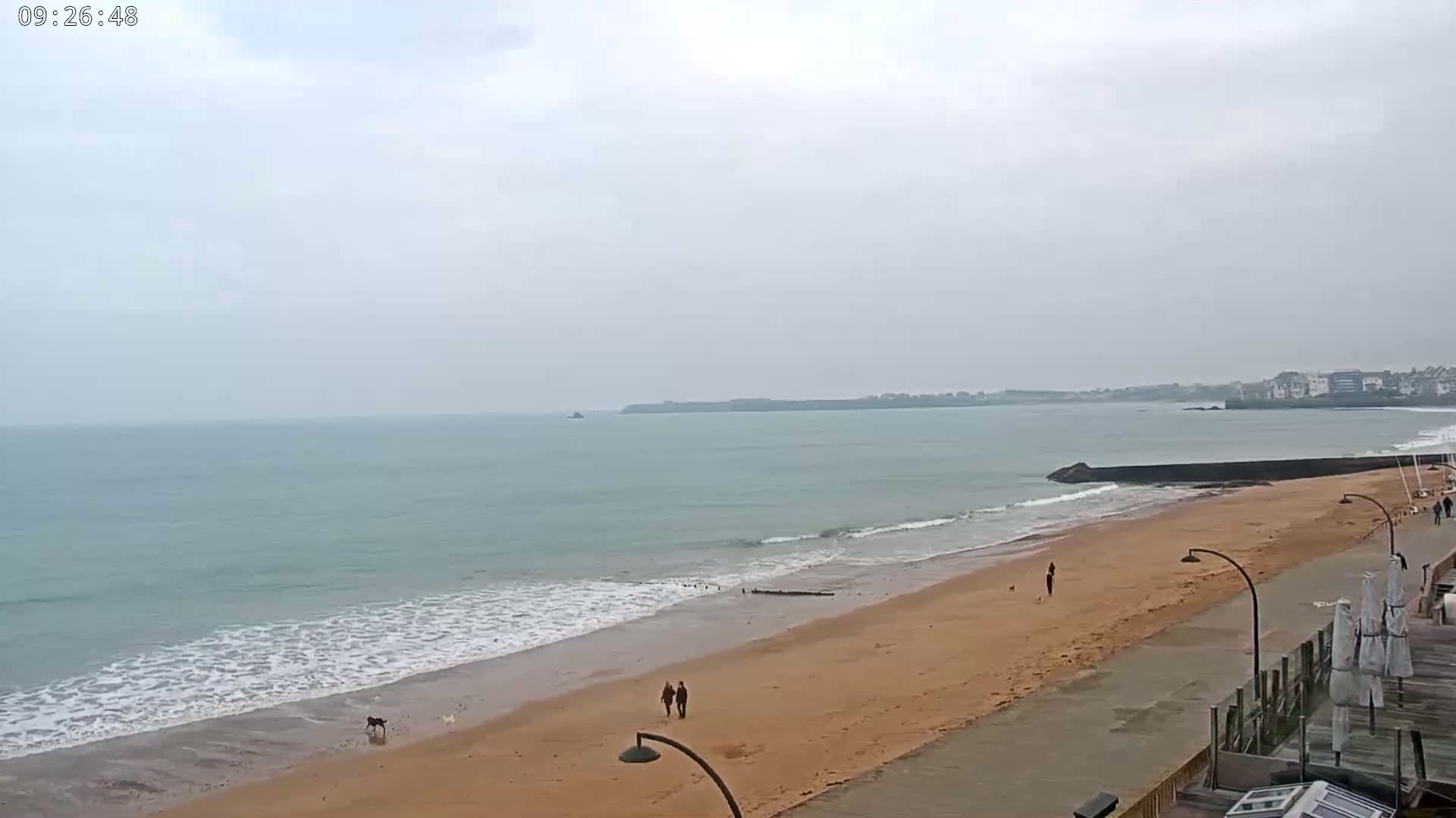 A sandy beach with gentle waves under an overcast sky, a few people and dogs are walking along the shore.