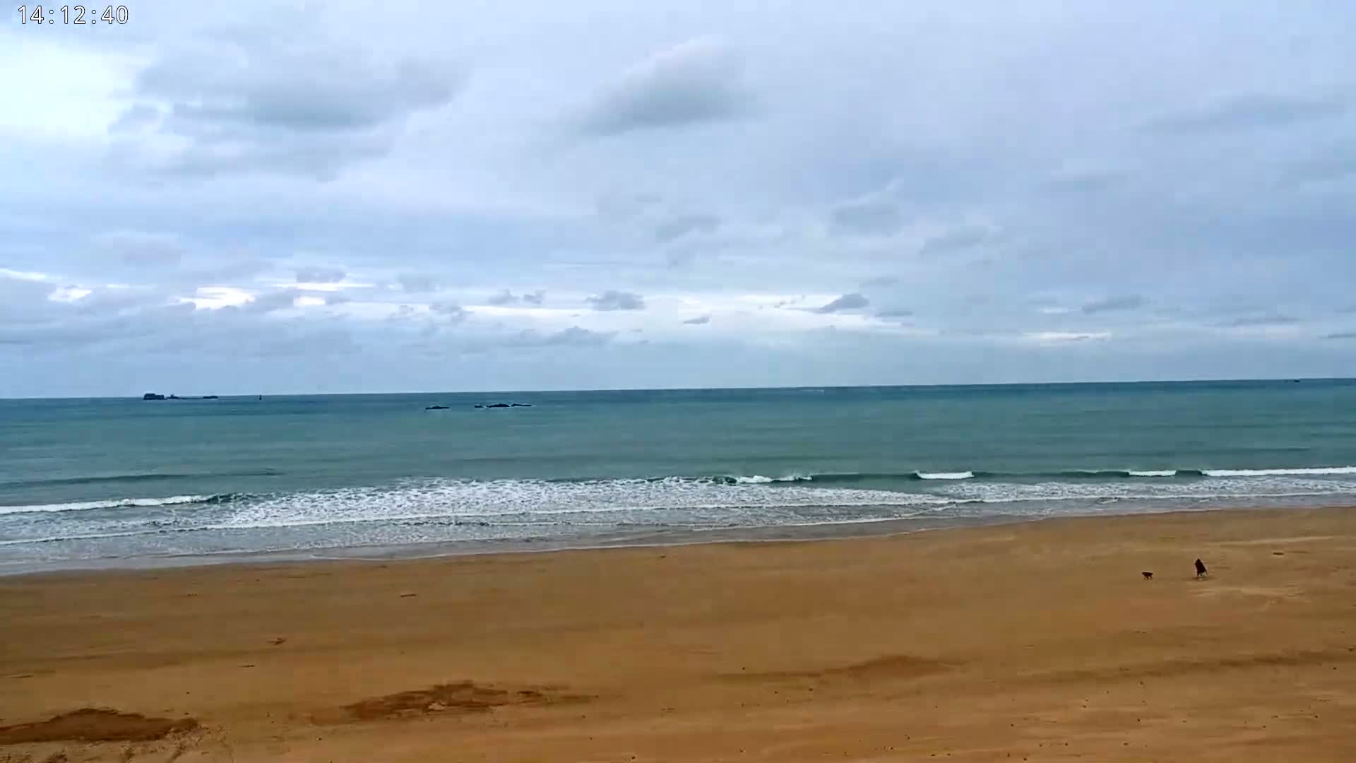 A person walks a dog on a wide, sandy beach under a cloudy sky, with gentle waves rolling in on a calm ocean.