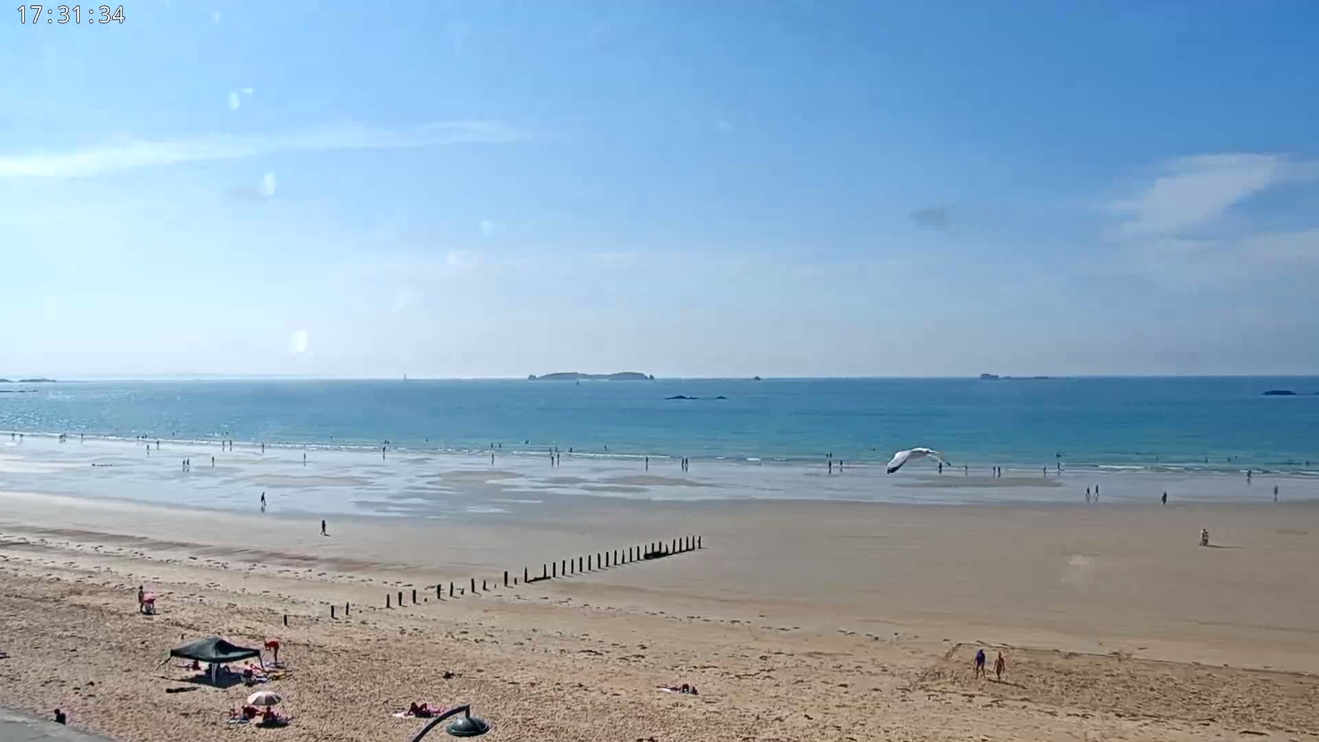 A sandy beach with scattered people extends to a calm, turquoise ocean under a mostly clear blue sky, with a bird flying overhead.