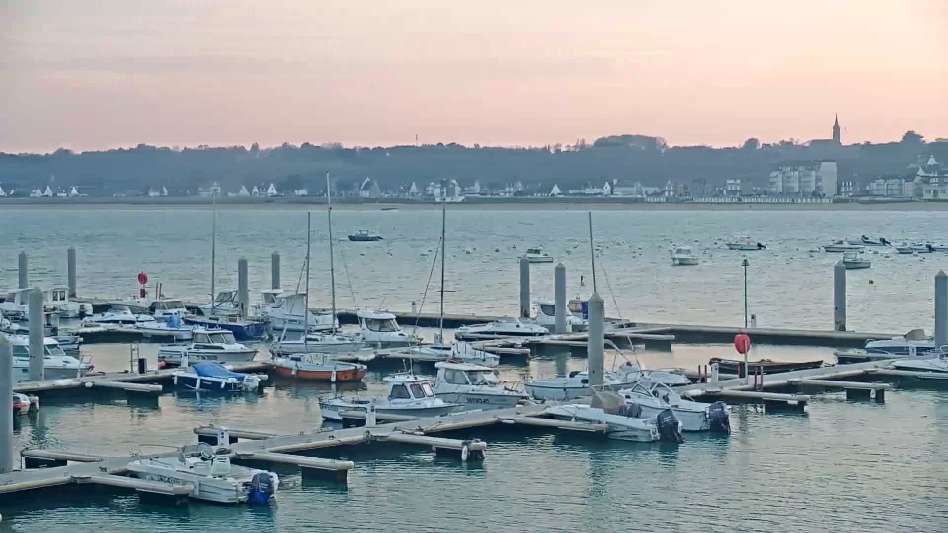 Many boats are docked at a marina under a calm, pale pink sky, with a town visible in the distance across the water.