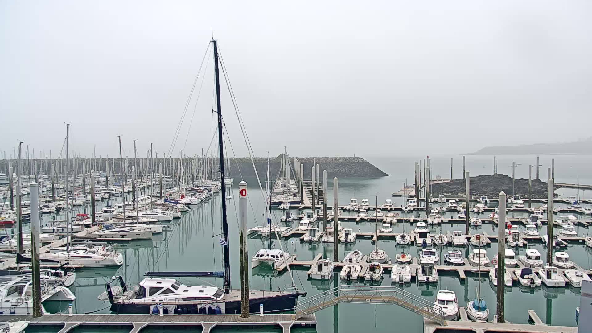 A marina filled with numerous sailboats and motorboats is visible on a foggy day.