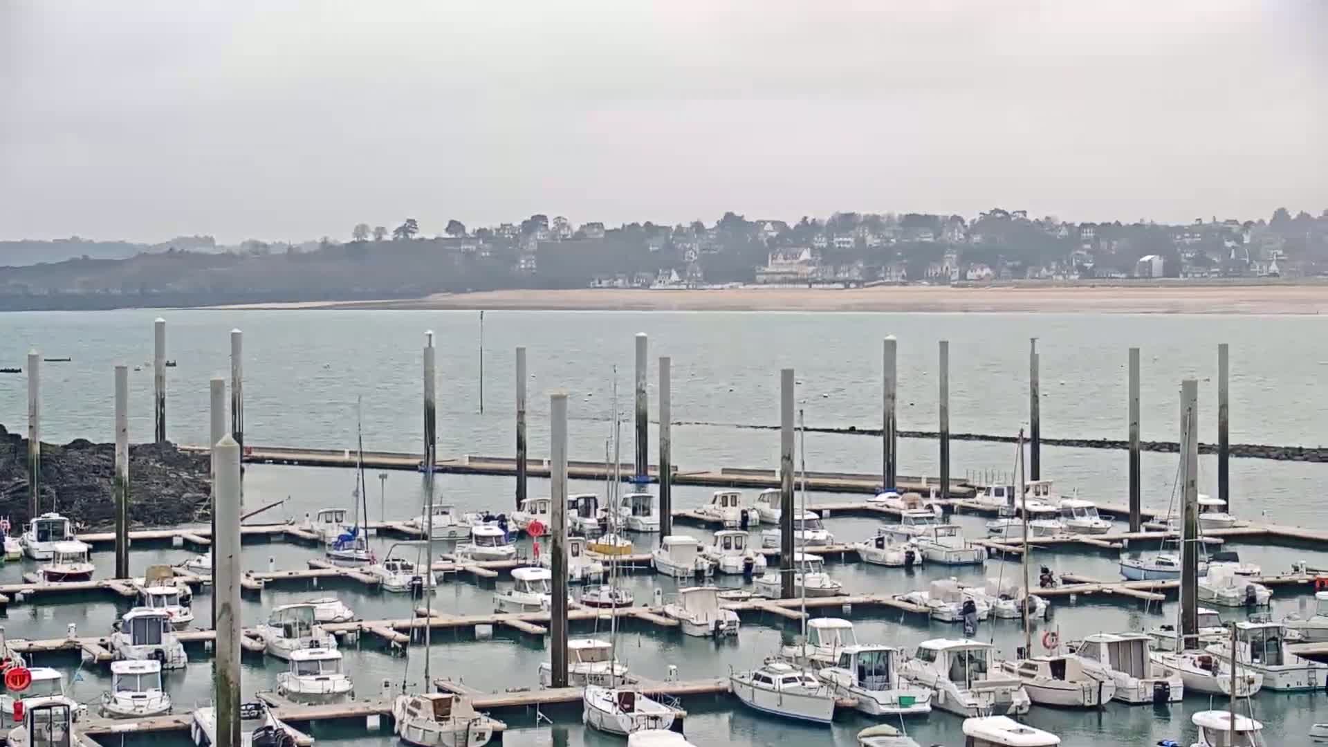 A marina filled with numerous boats is situated on calm, gray water, with a distant shoreline visible under an overcast sky.