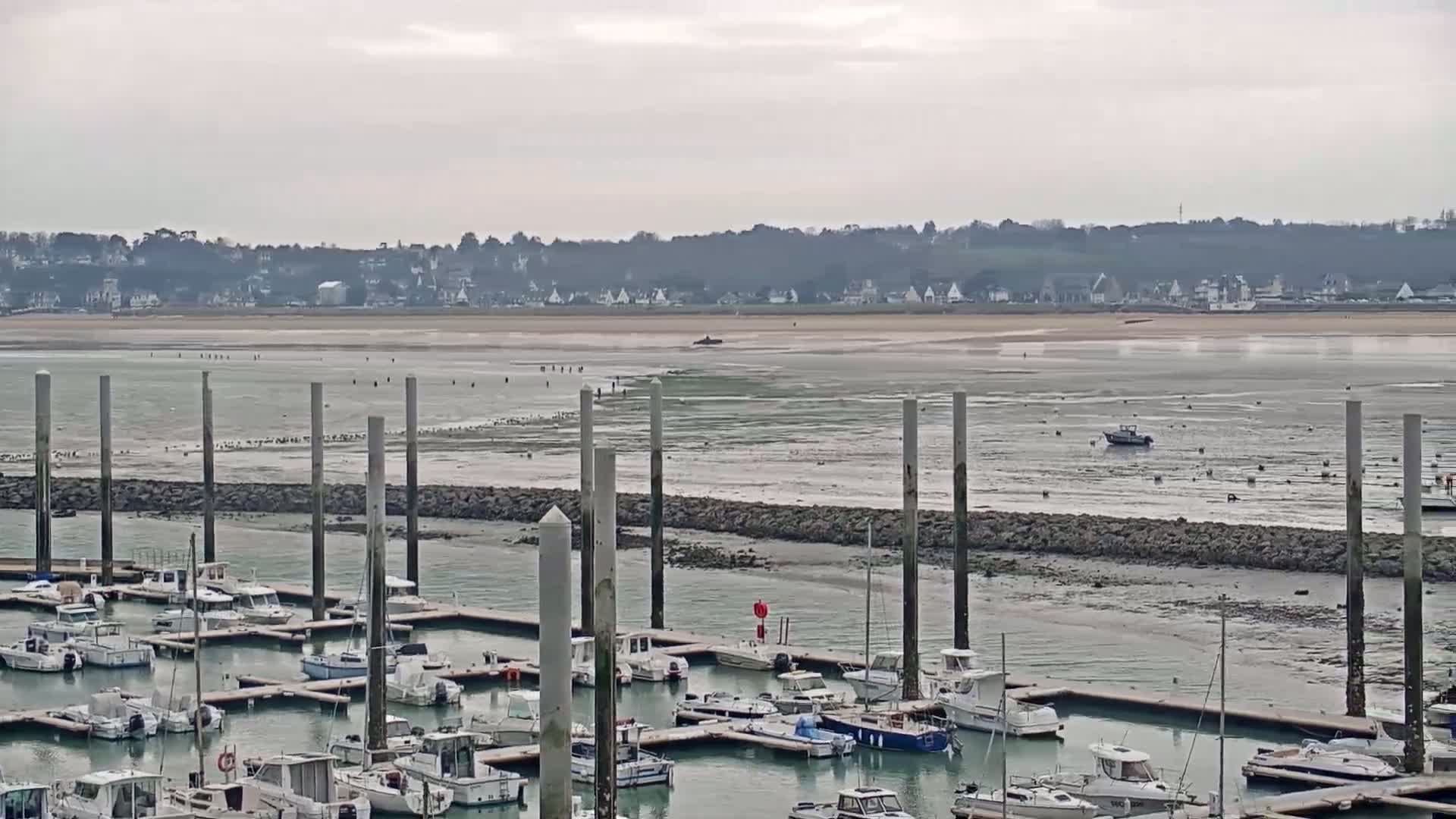A marina filled with docked boats is situated in front of a wide expanse of mudflats and a distant town under a cloudy sky.