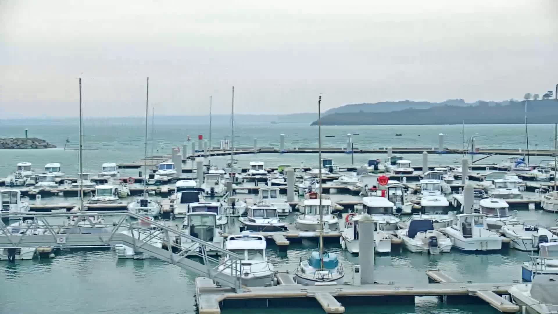 A marina filled with numerous docked boats on a calm, overcast day.
