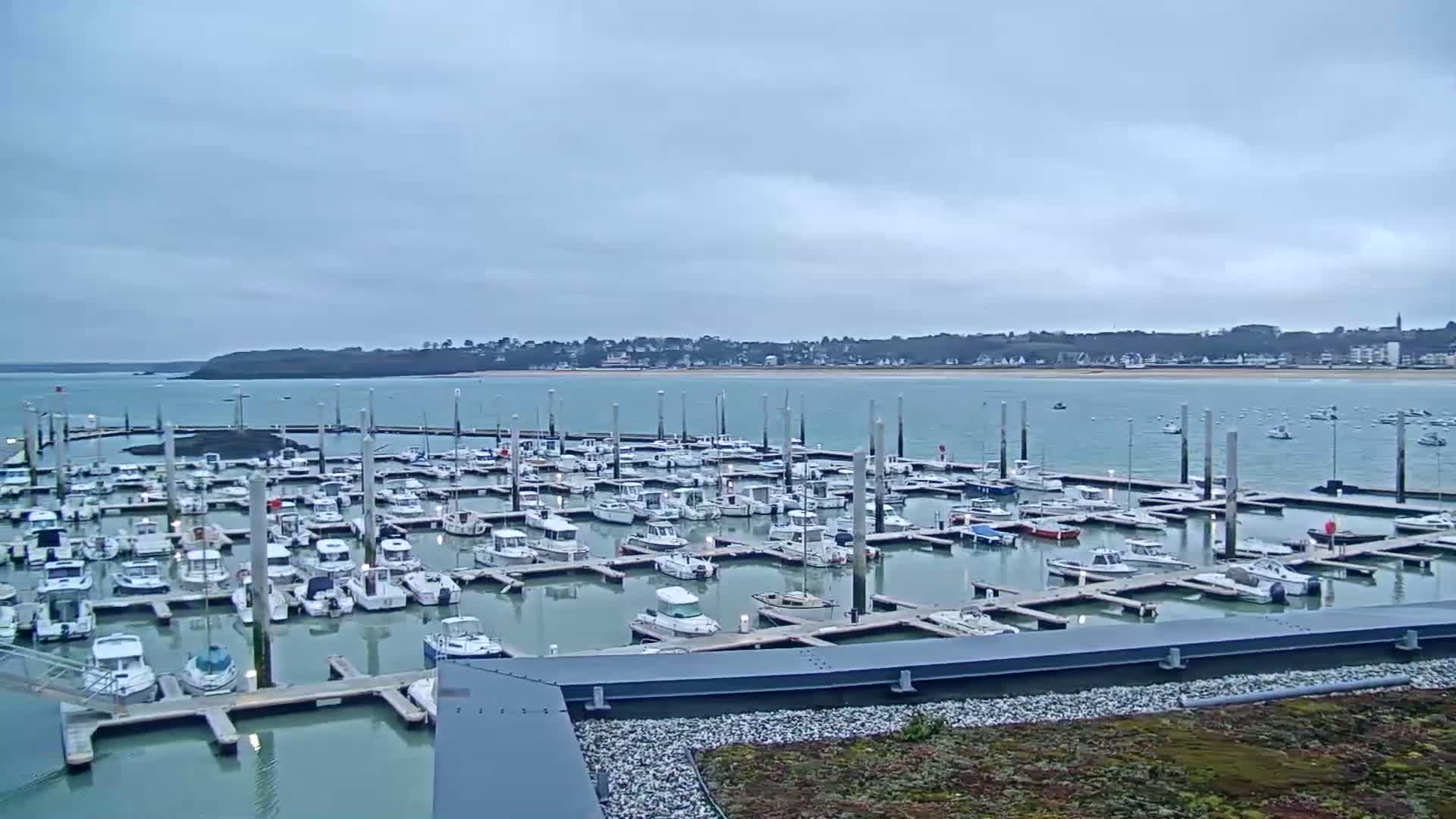 A marina filled with numerous boats is situated on calm, light-green water under a cloudy sky.