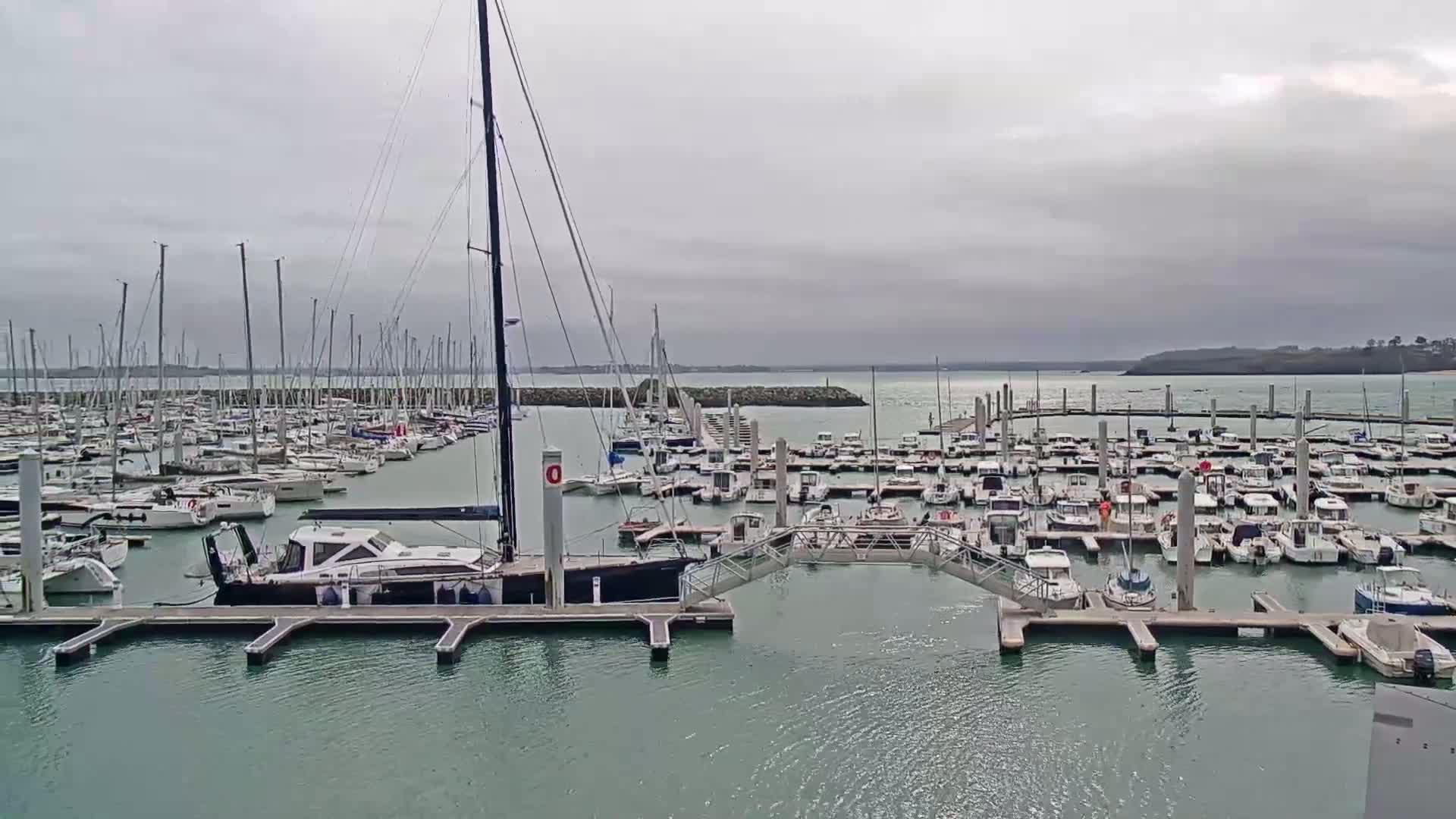 A marina filled with sailboats and motorboats on a cloudy day.