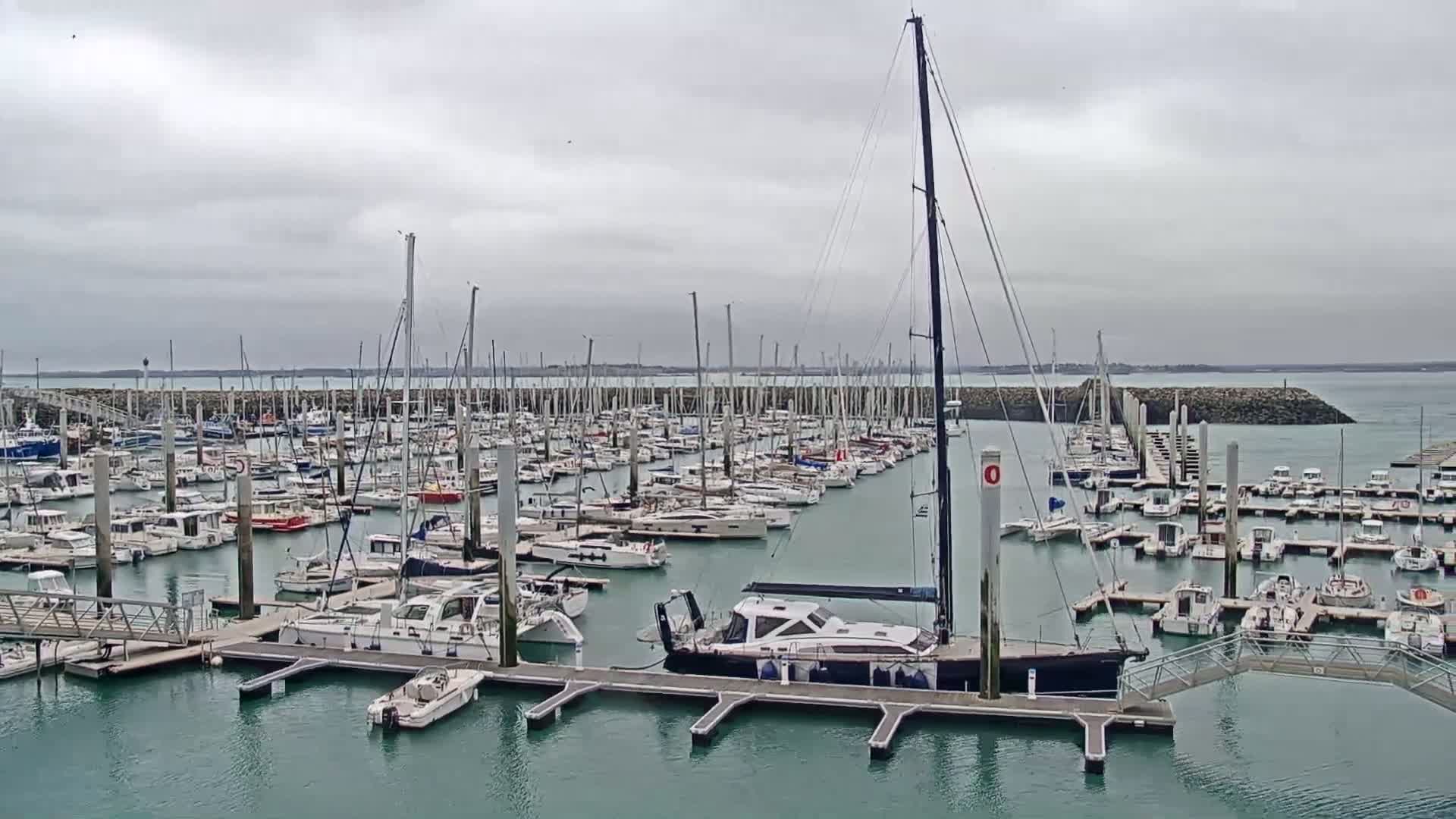 A marina filled with numerous sailboats and motorboats under an overcast sky.