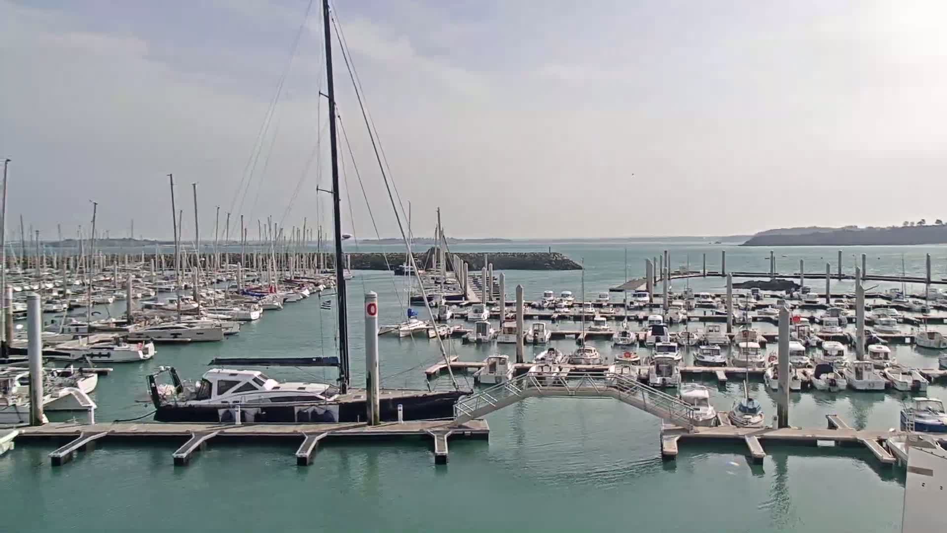 A large marina filled with numerous sailboats and motorboats is seen on a calm, sunny day.