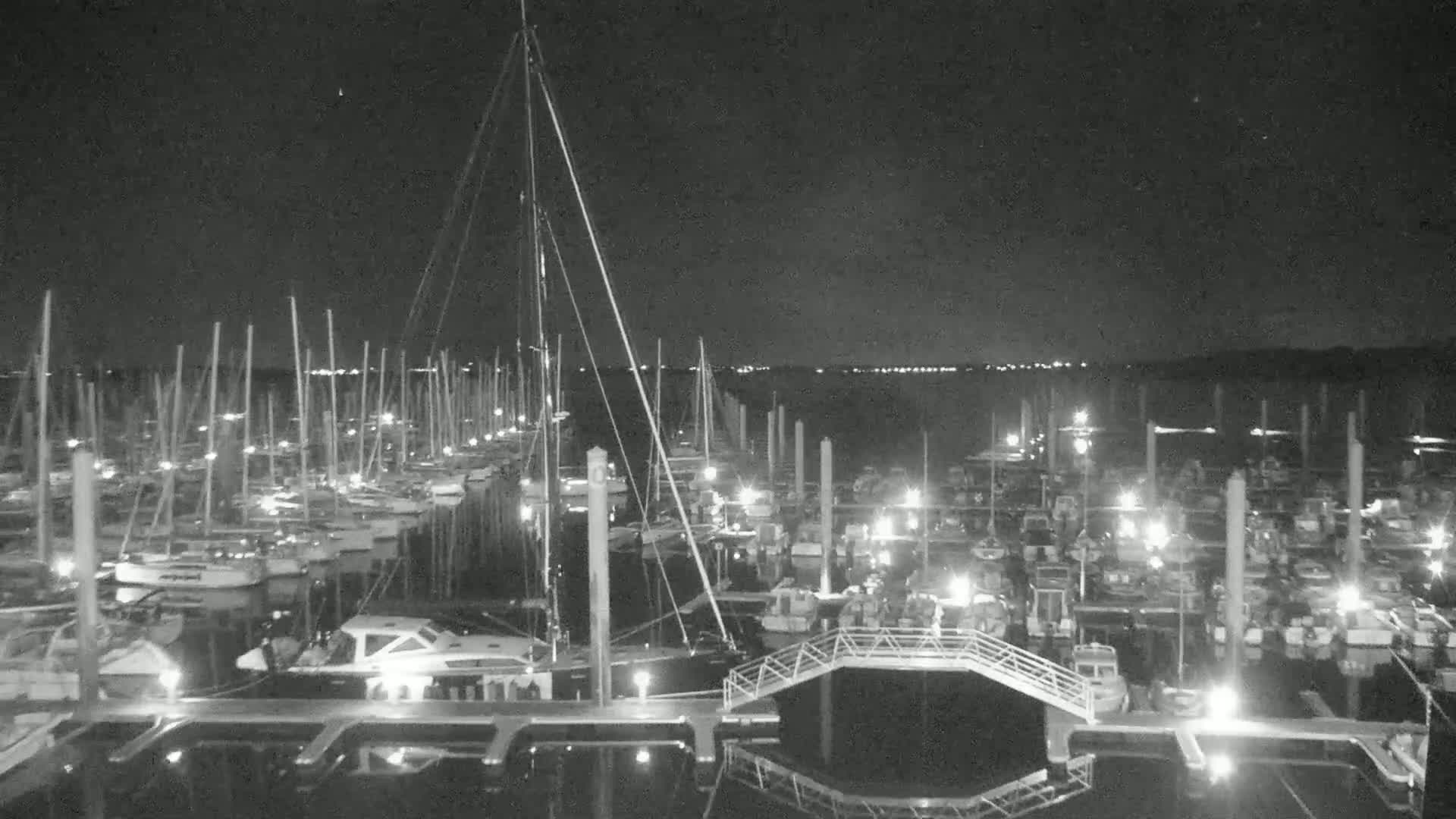 A marina filled with numerous boats is seen at night under a clear, dark sky.